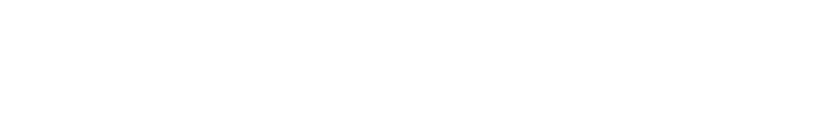 Dynamic Aviation White Logo