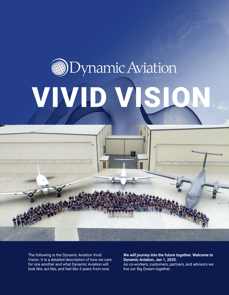 Dynamic Aviation Vivid Vision