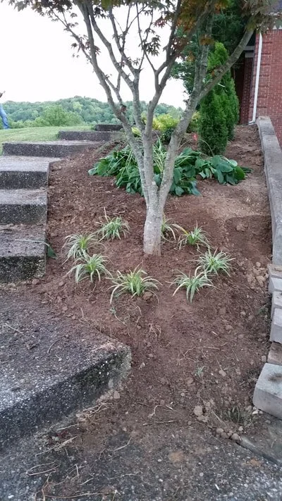 20150801-204840_1.jpg