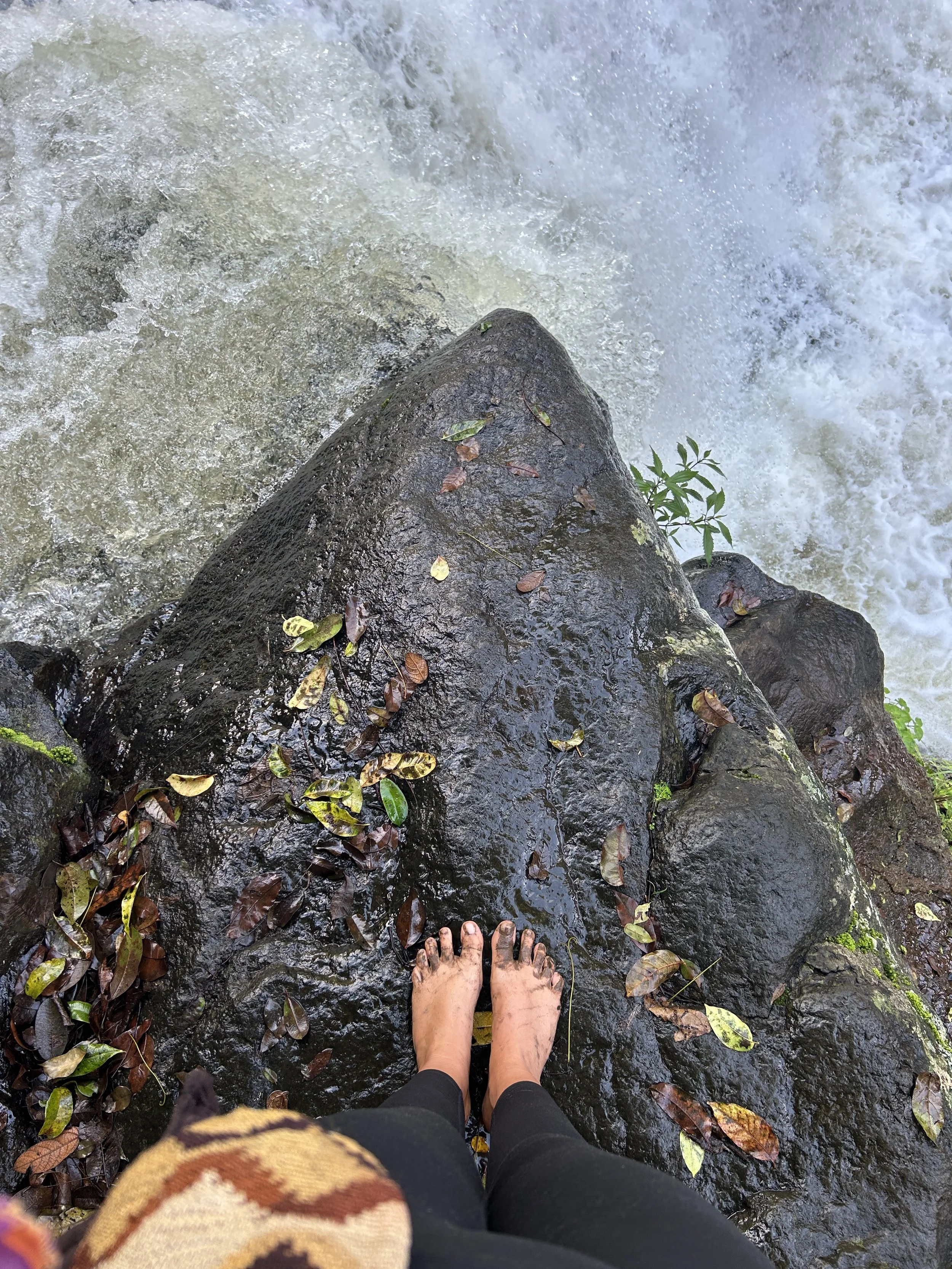 Innocently Rewilding