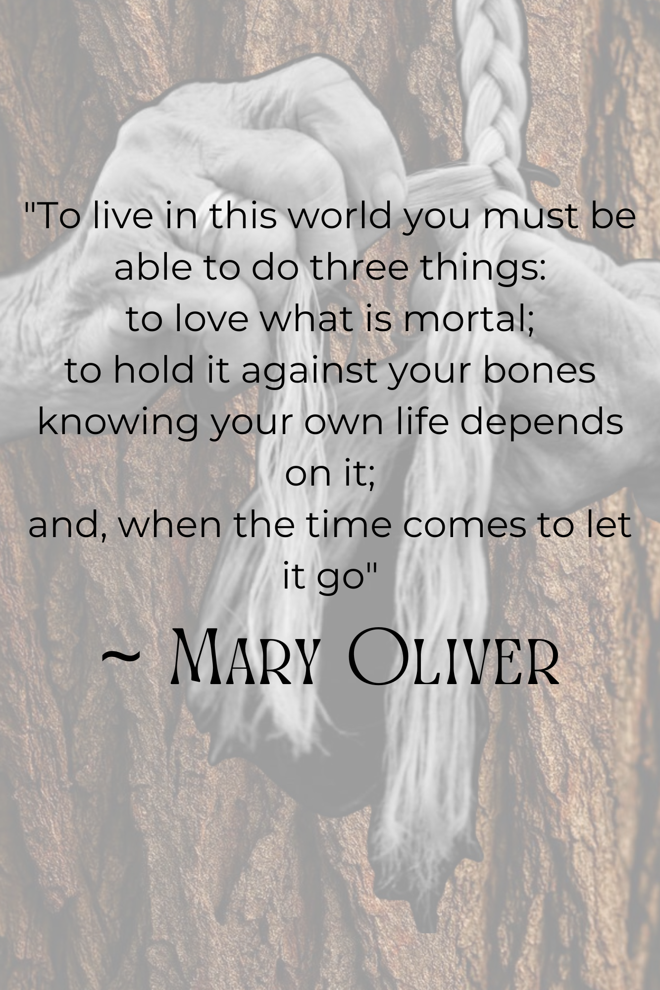 Aries Season! - 4.PNG