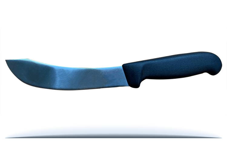 8-inch-Skinnning-range-meat-academy.png (Copy)