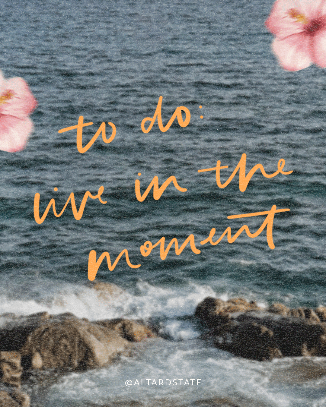 Untitled-2.gif