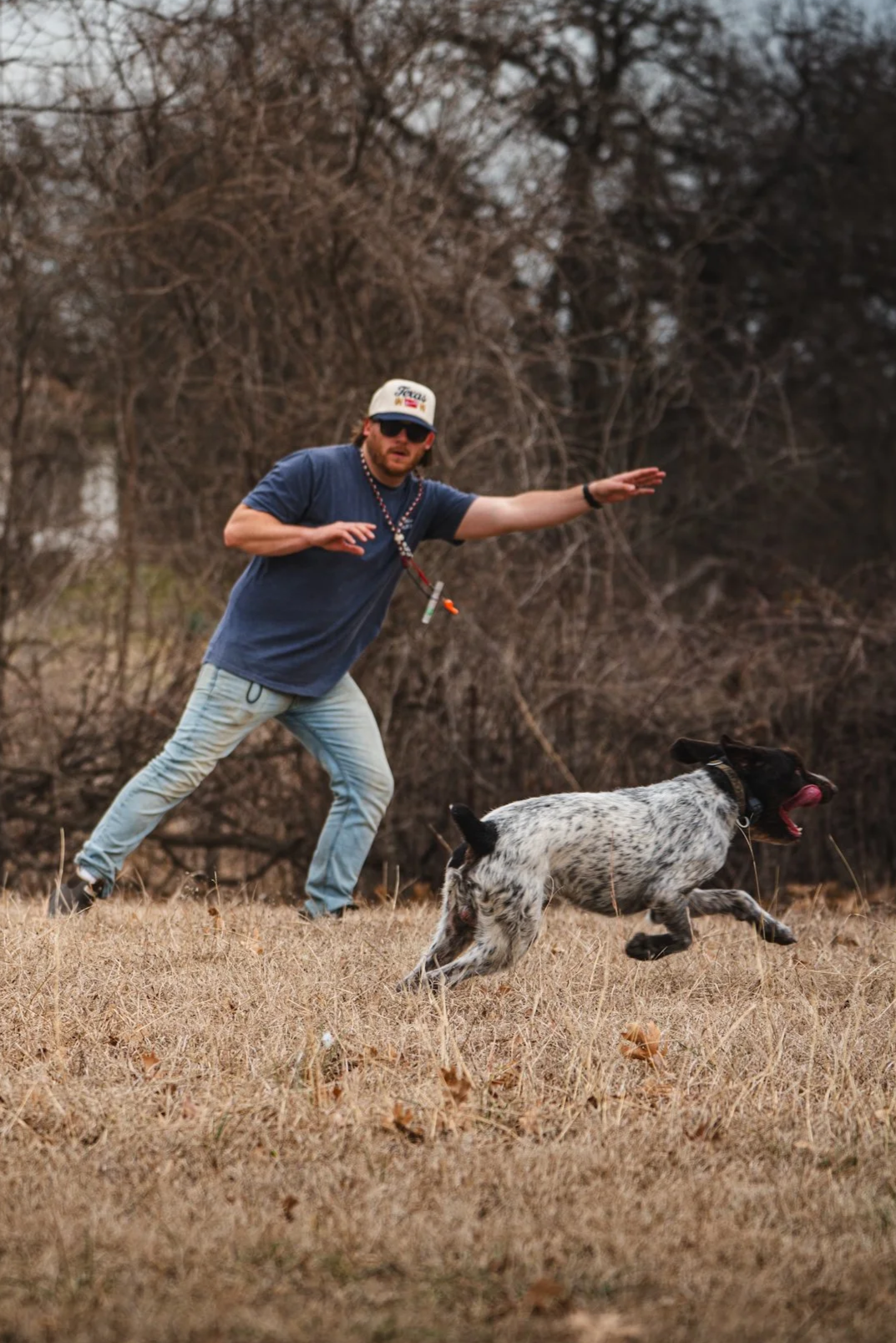 A young brown and white speckled puppy with floppy ears, wearing a red collar, standing outdoors on pine needles near a tree, with a blurred forest background.