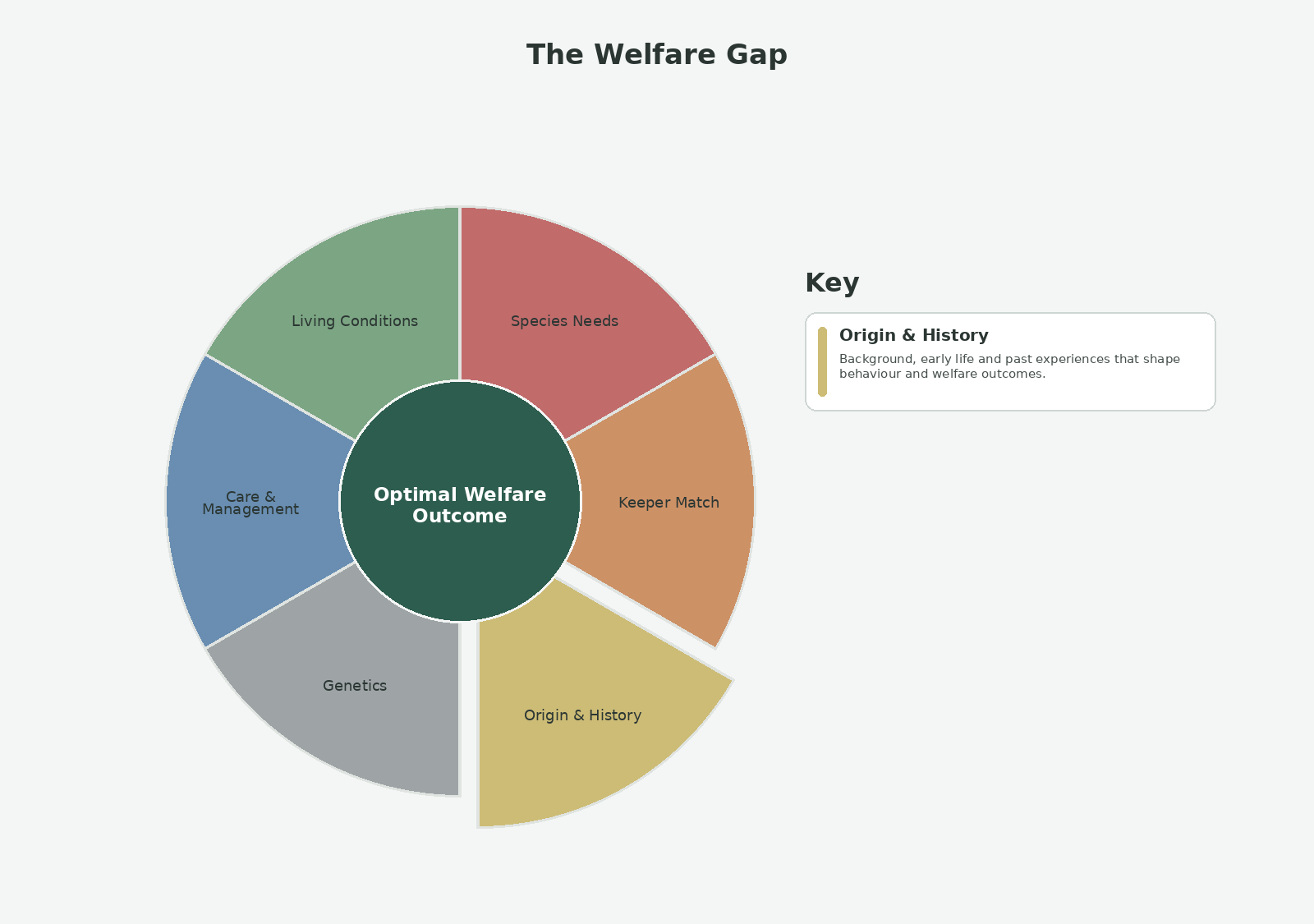 Origin & History is one of the six welfare pillars and the welfare gap