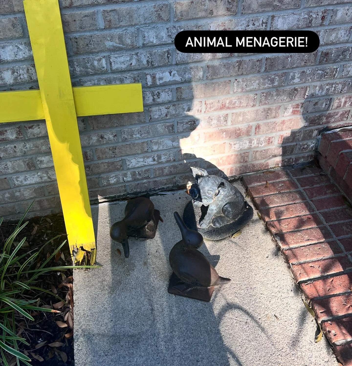 Can’t wait to get to know you! 
Door knocking day!