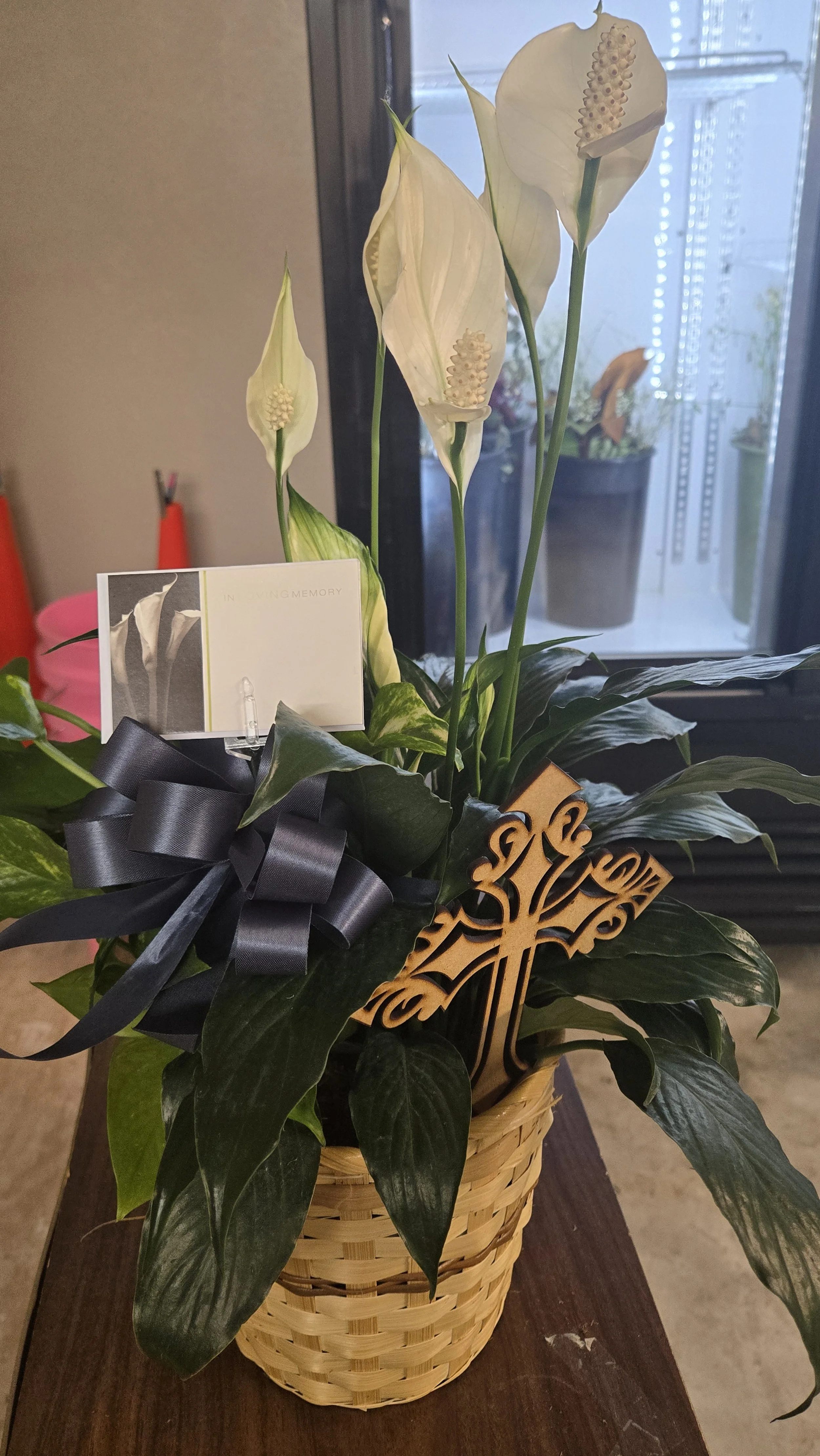 Sympathy Plant Arrangement