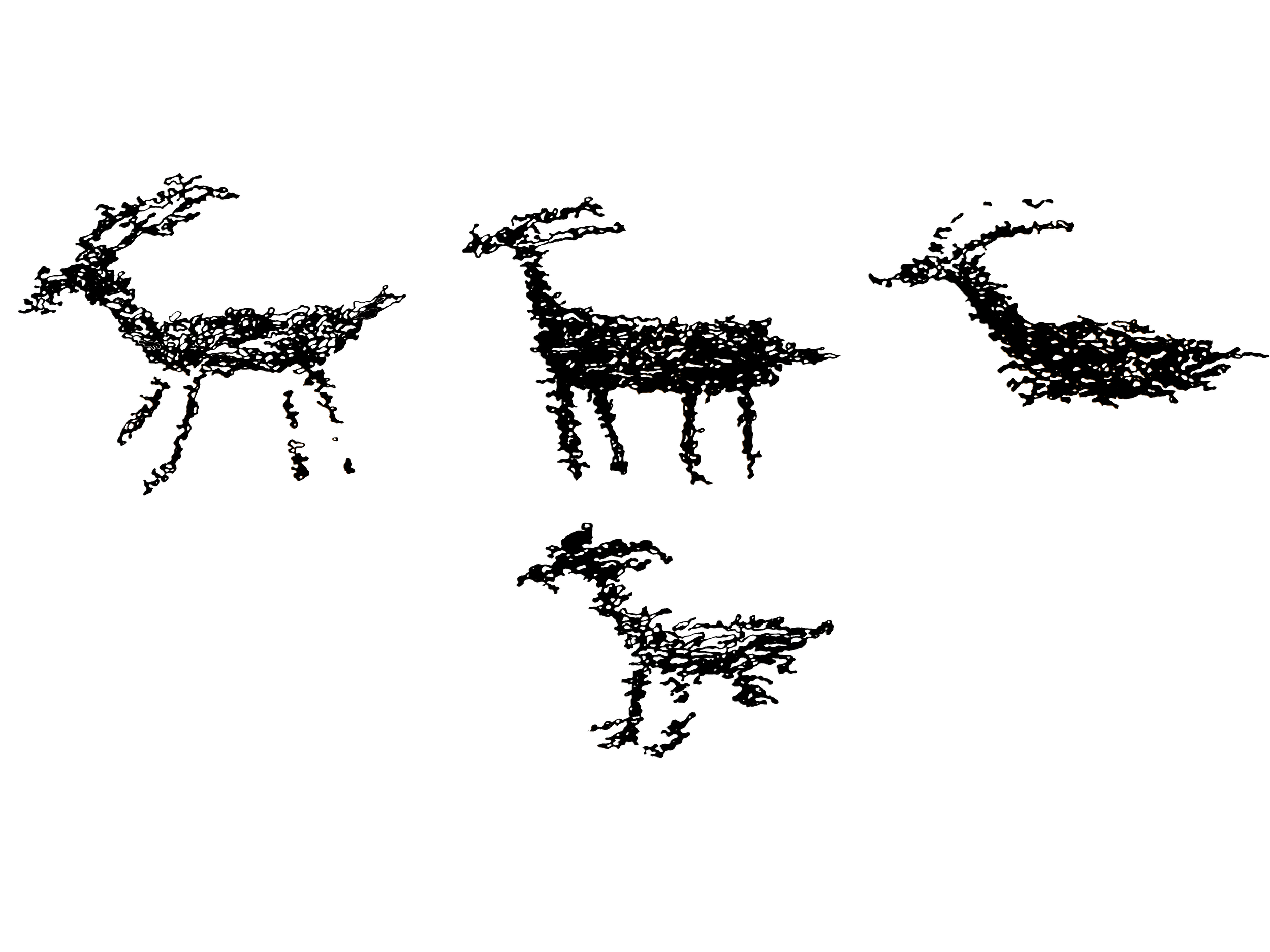 IMG_0104.png