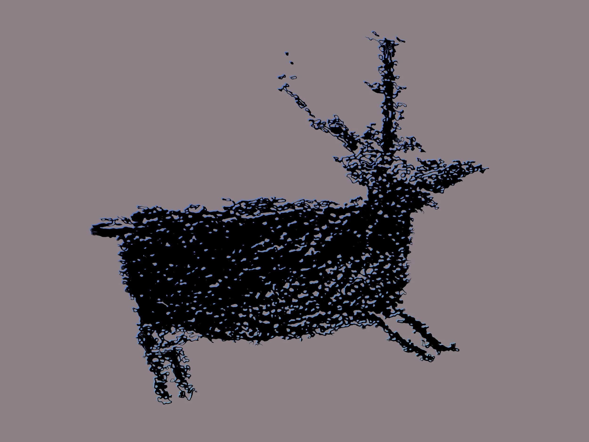 IMG_0133.jpeg