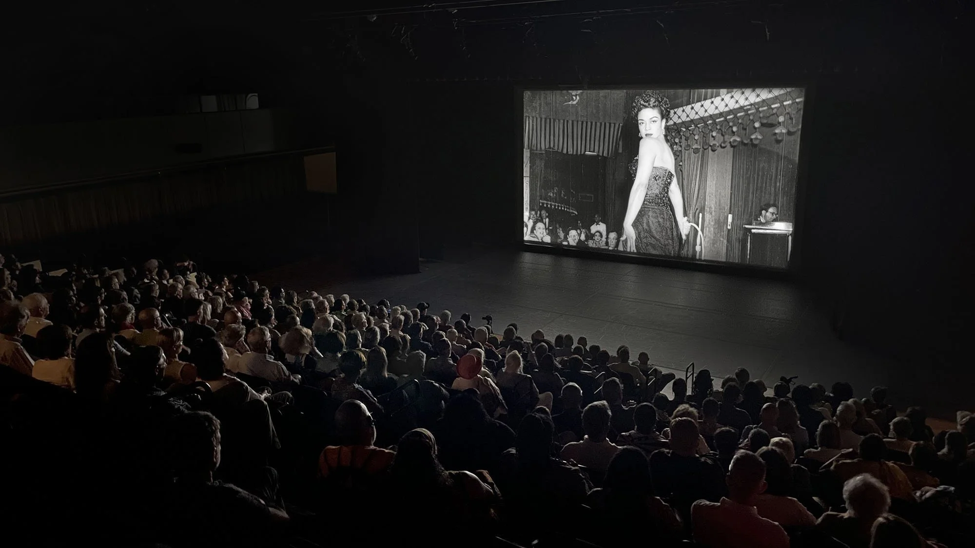 Hazel_on_screen_dark.jpg