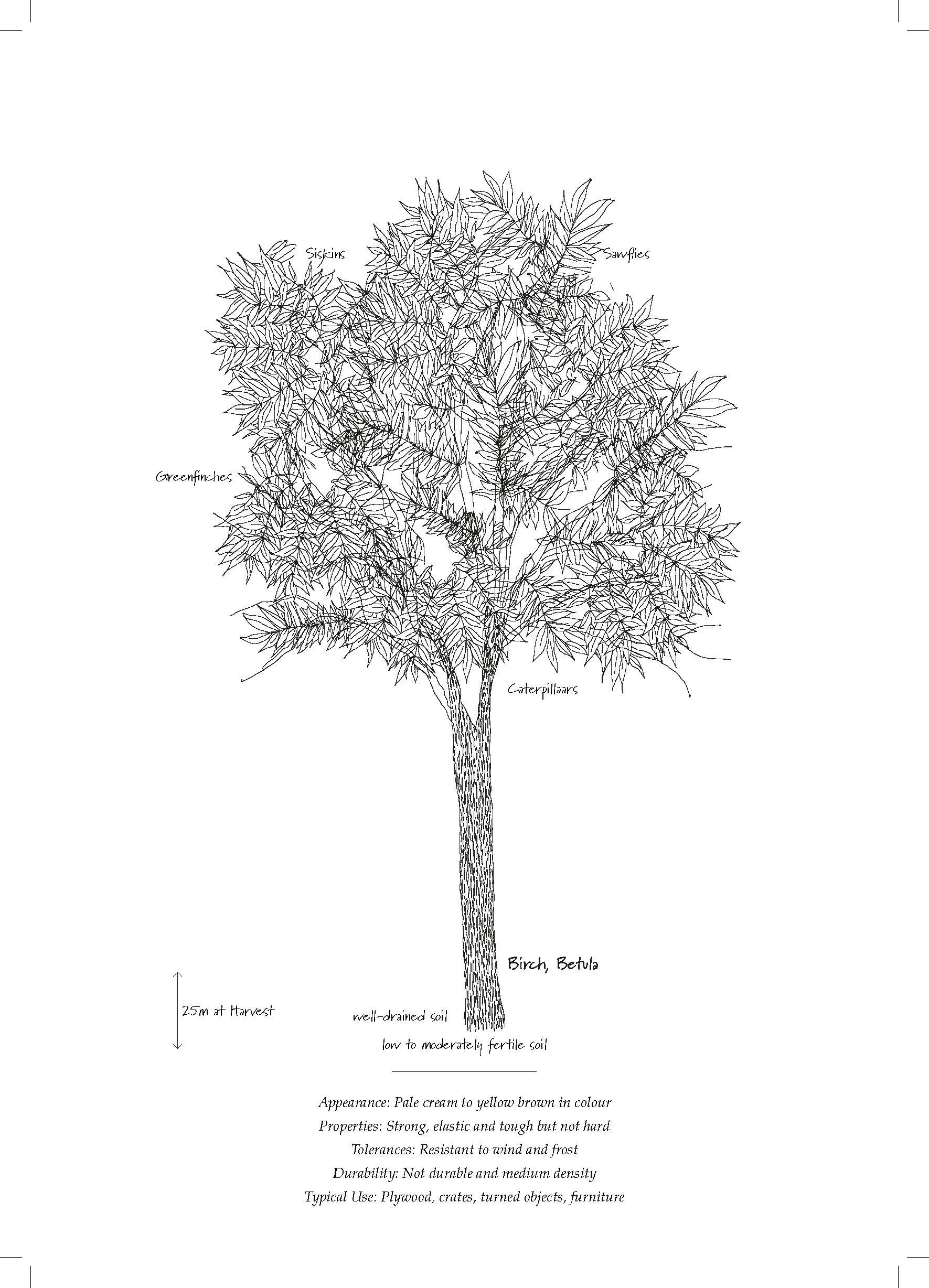 Tree Database_Book_pages_Page_09.jpg
