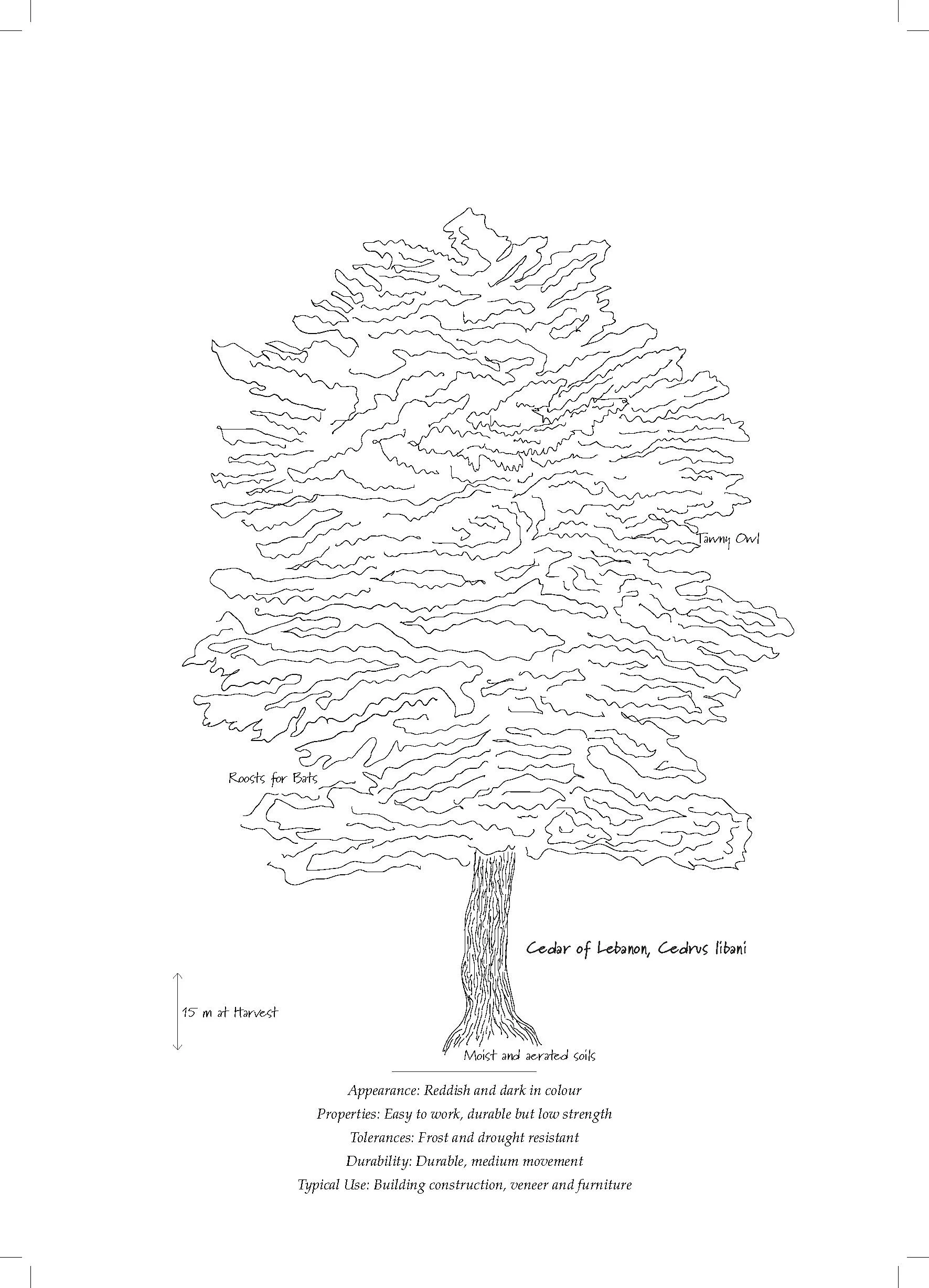Tree Database_Book_pages_Page_14.jpg