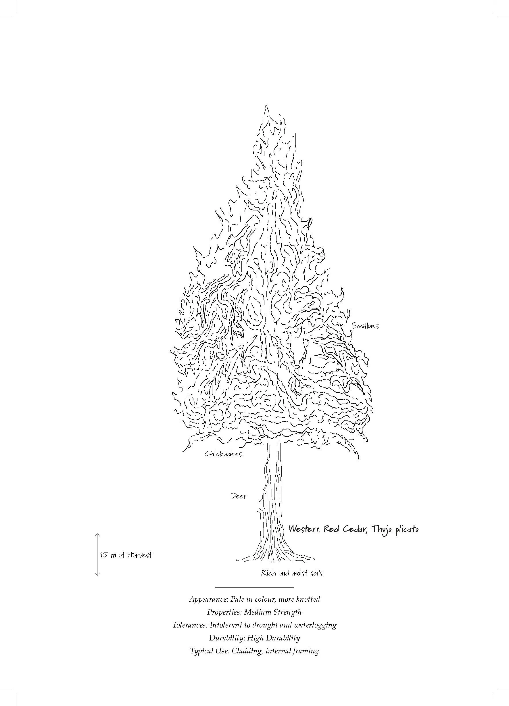 Tree Database_Book_pages_Page_17.jpg