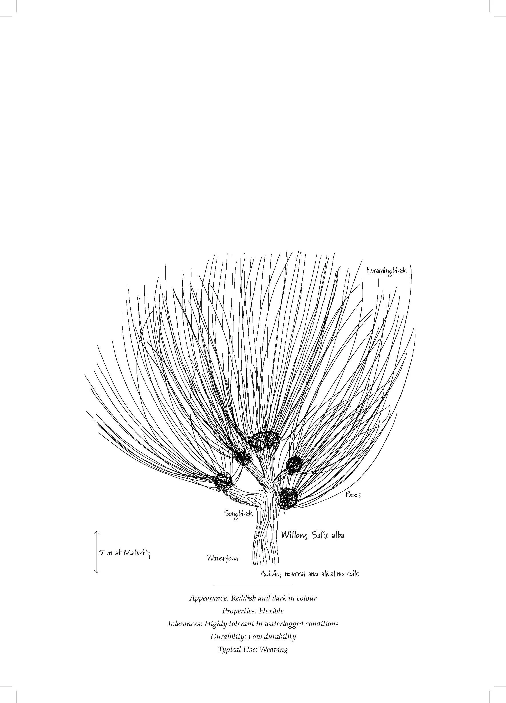 Tree Database_Book_pages_Page_05.jpg