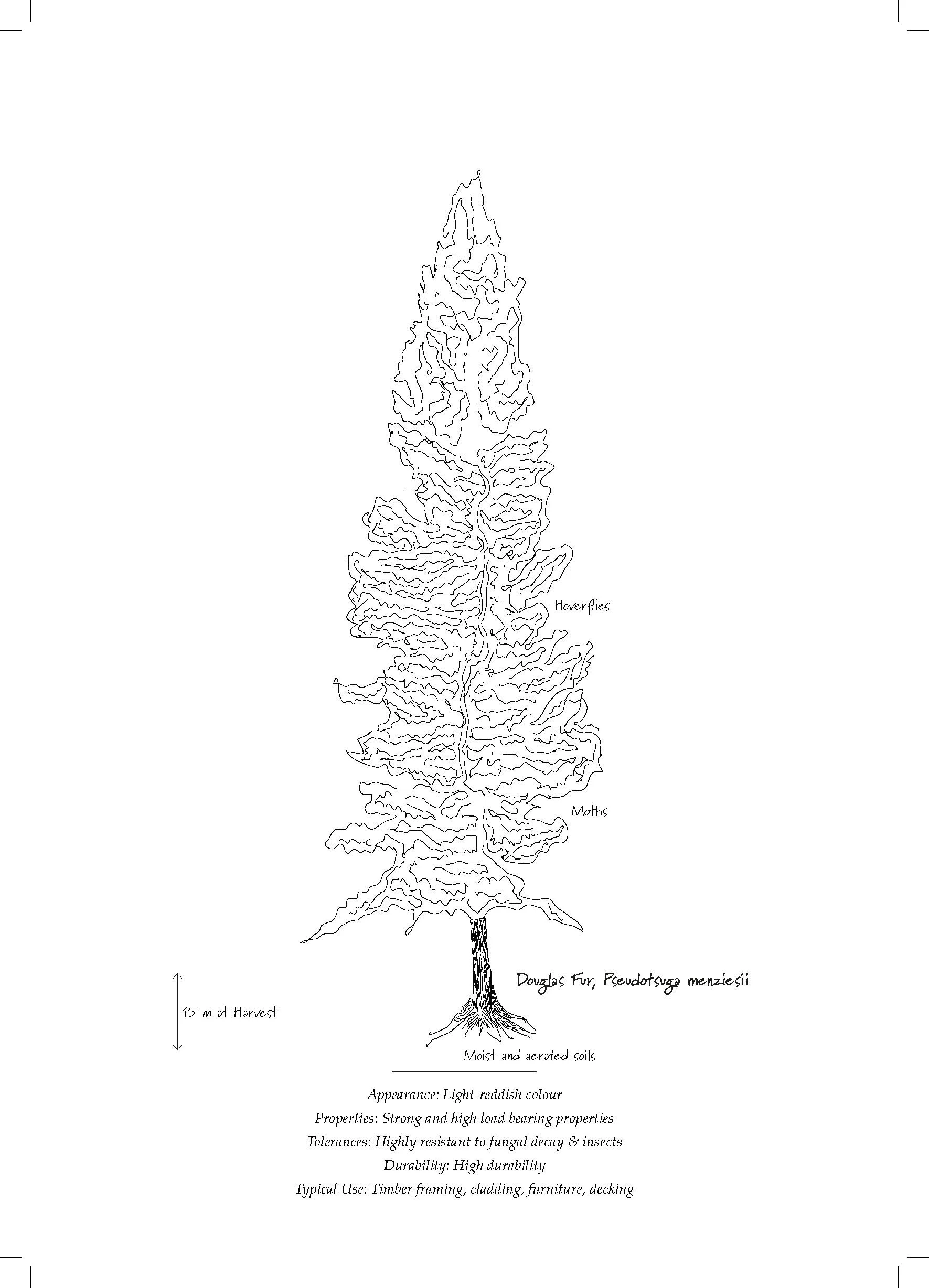 Tree Database_Book_pages_Page_15.jpg
