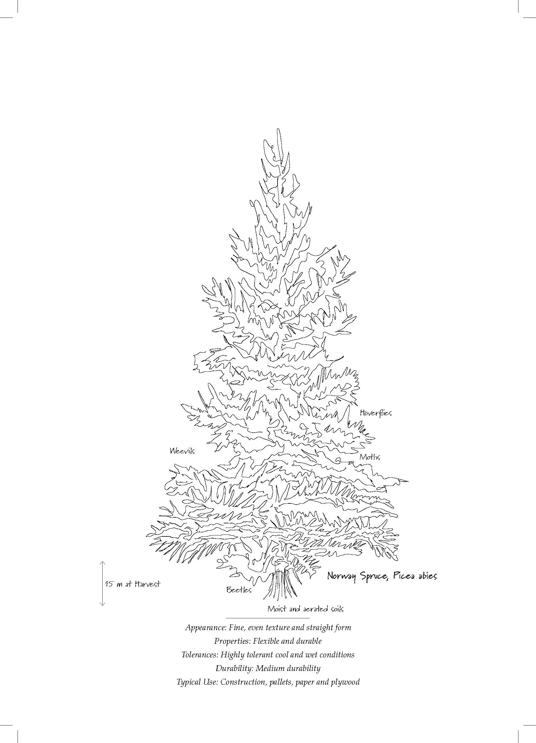 Tree Database_Book_pages_Page_16.jpg