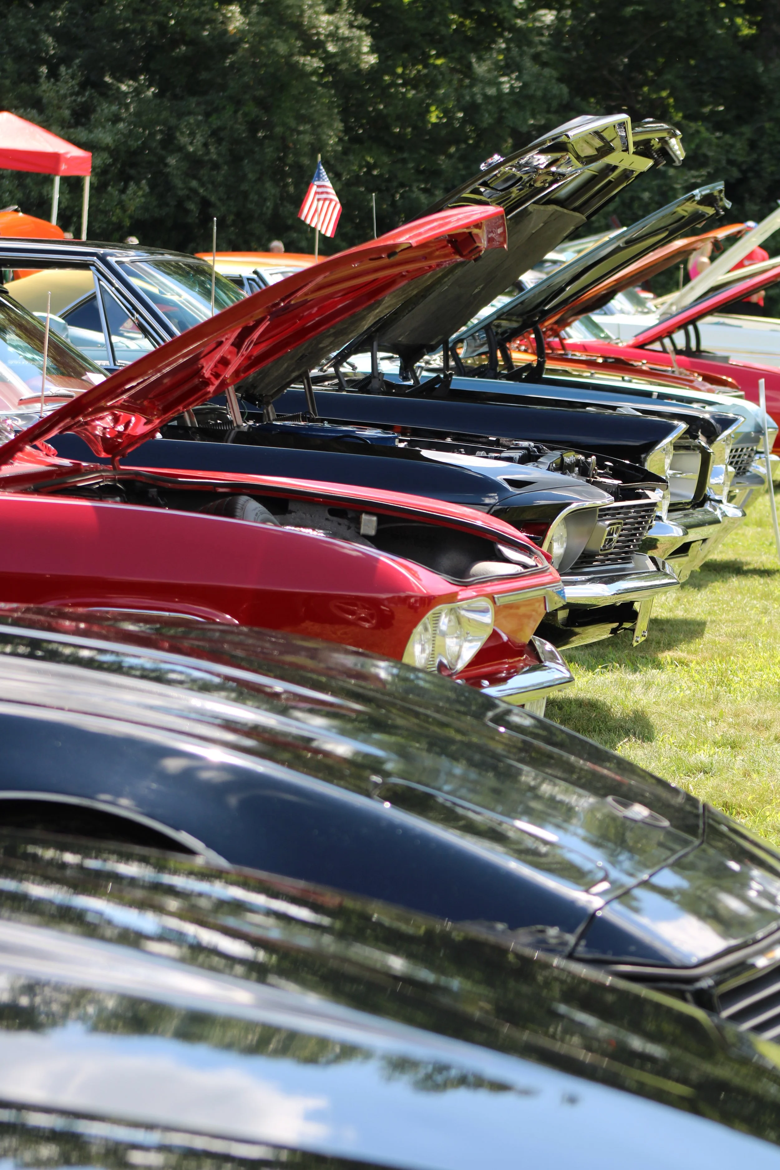 Several classic cars at an outdoor car show with hoods open, set on grassy field, with trees in the background and American flags.