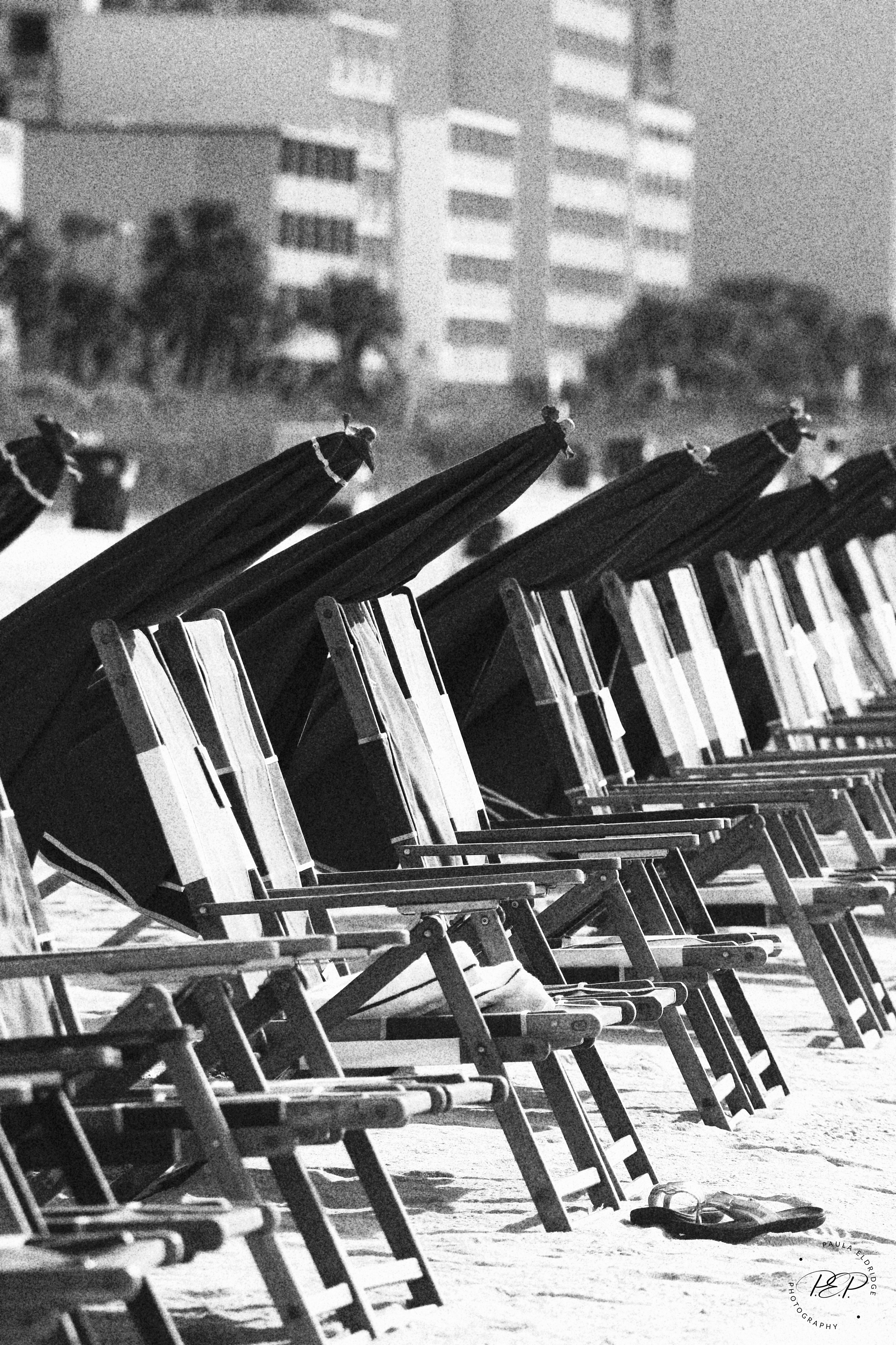 Empty beach chairs and umbrellas lined up on the sand with a building and trees in the background.
