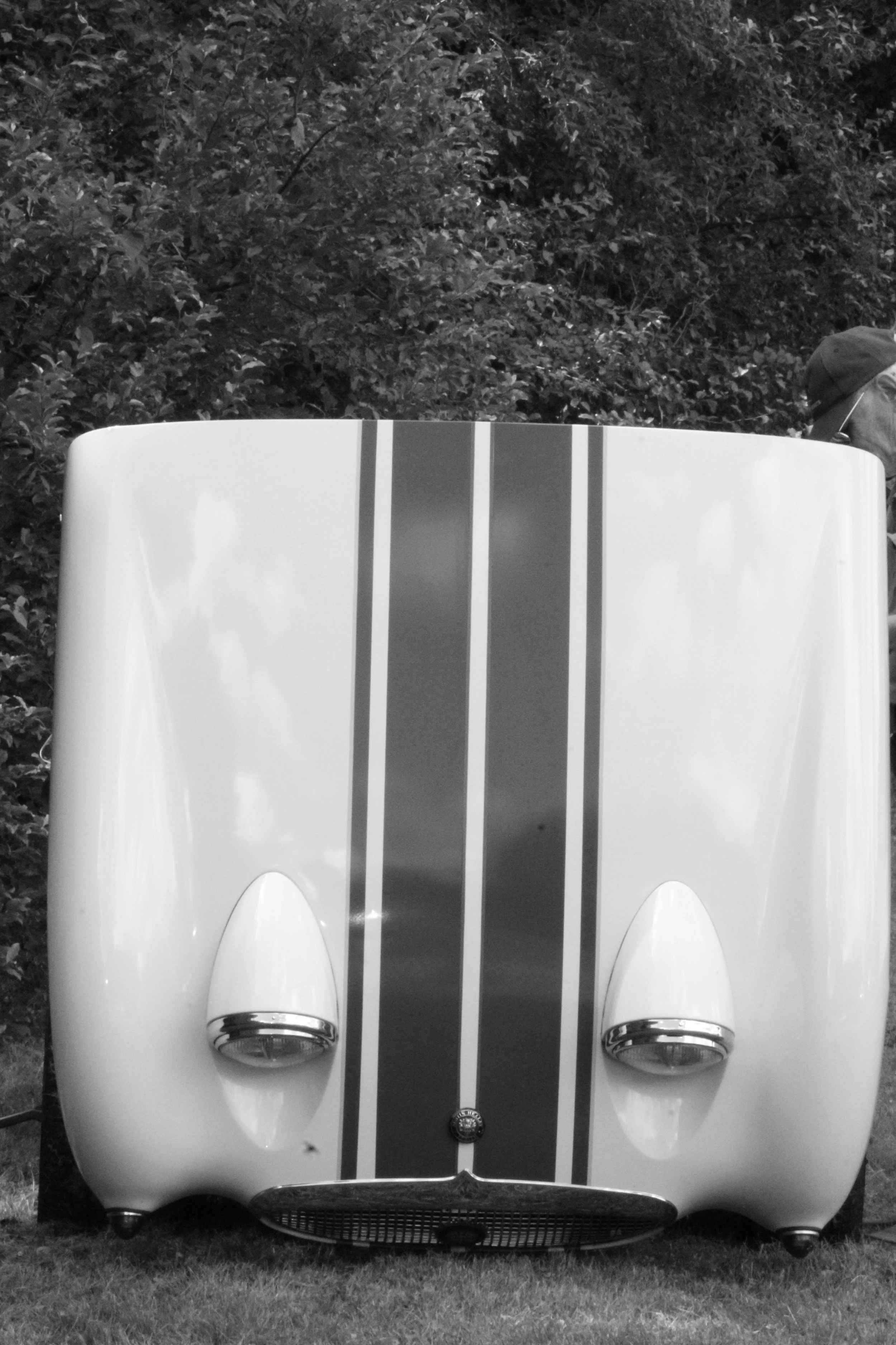 The front view of a vintage race car with a sleek, aerodynamic design, featuring a white body with two dark racing stripes running from front to back, display headlights, a grill, and a small emblem at the front, parked on a grassy surface with trees