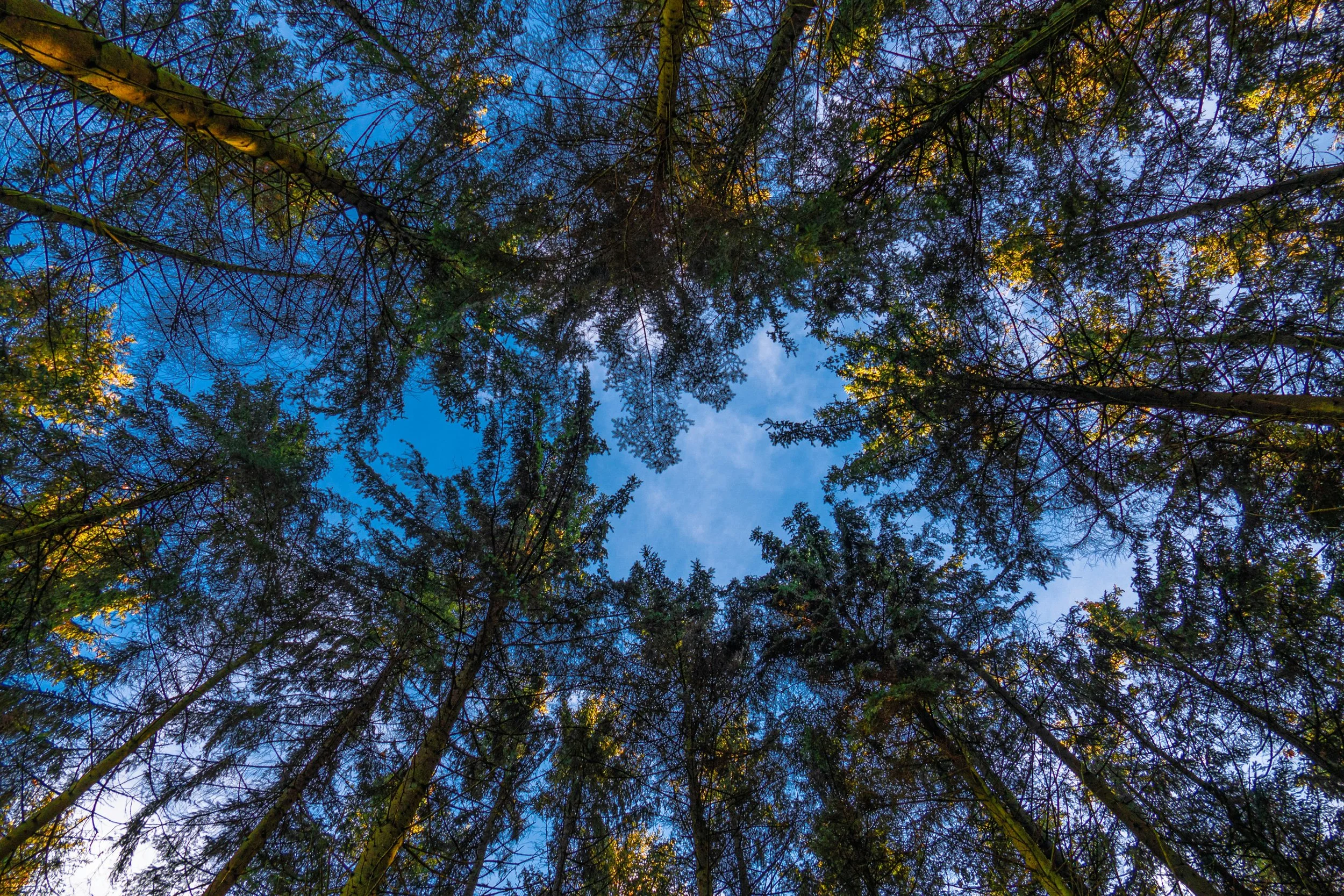 What’s stopping you?