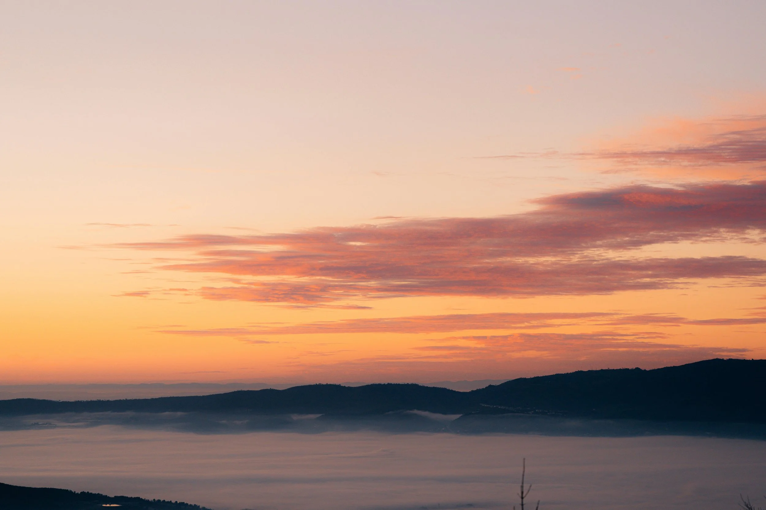 Trauma therapy - is there enough available in South Wales?