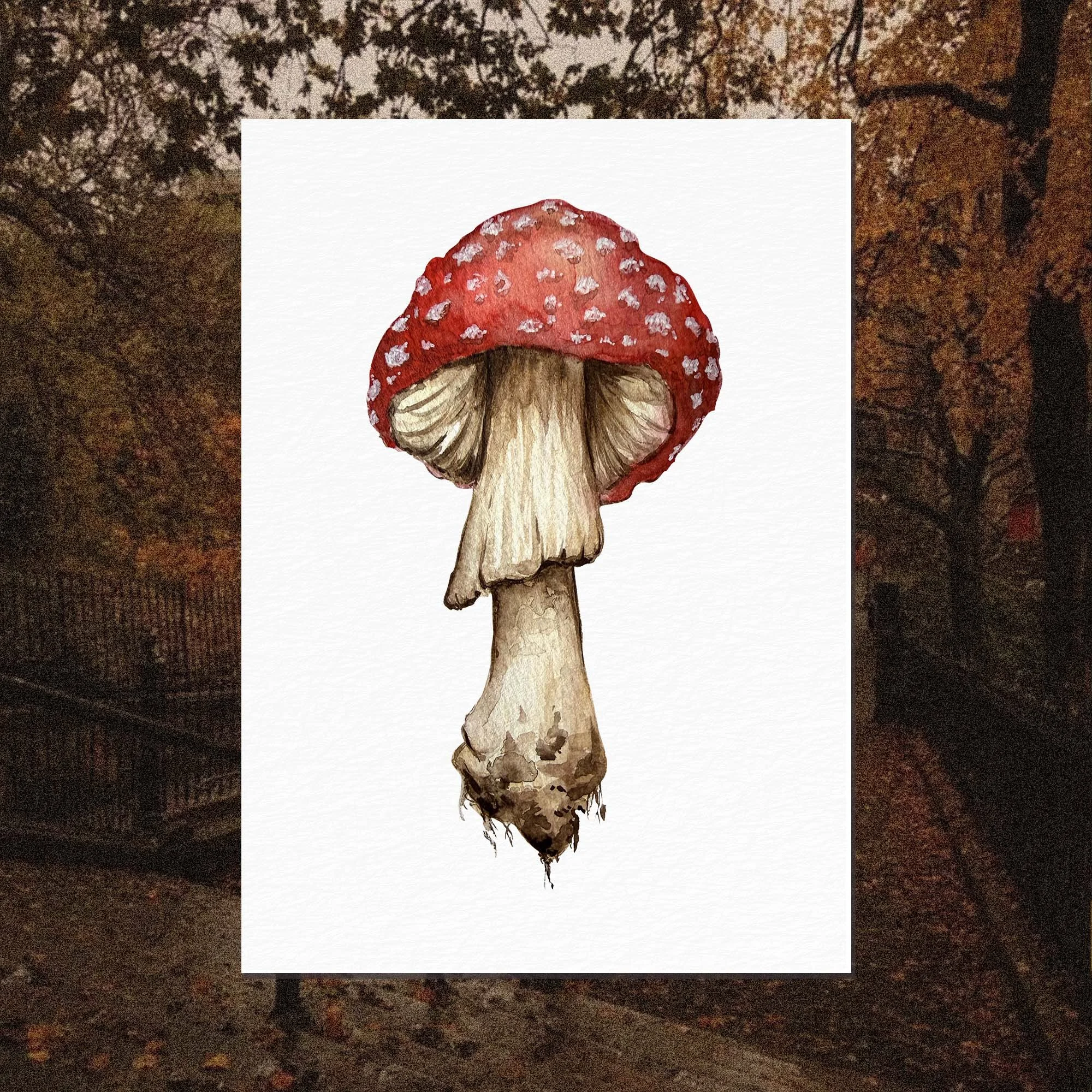 Print Aquarelle A6 • Le Champignon