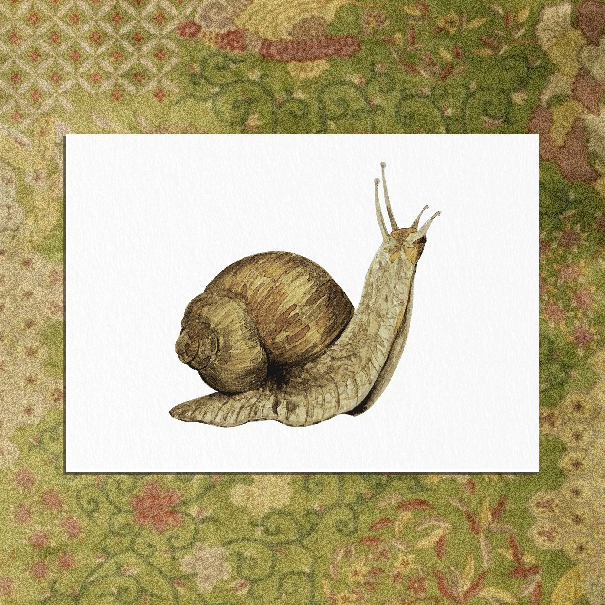 cp escargot.jpg
