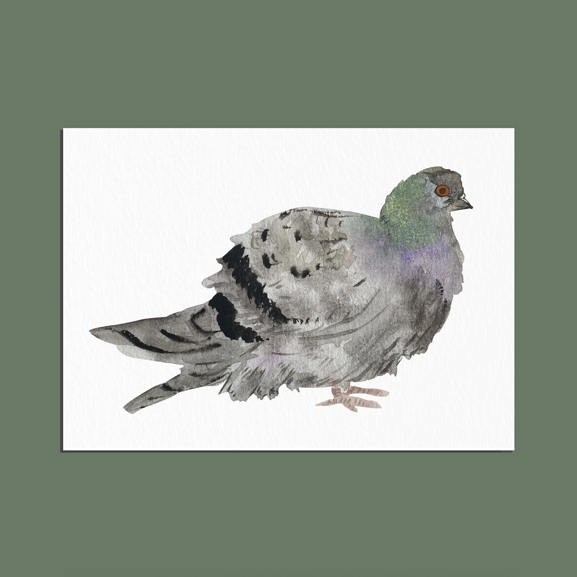 Print Aquarelle A6 • Le pigeon