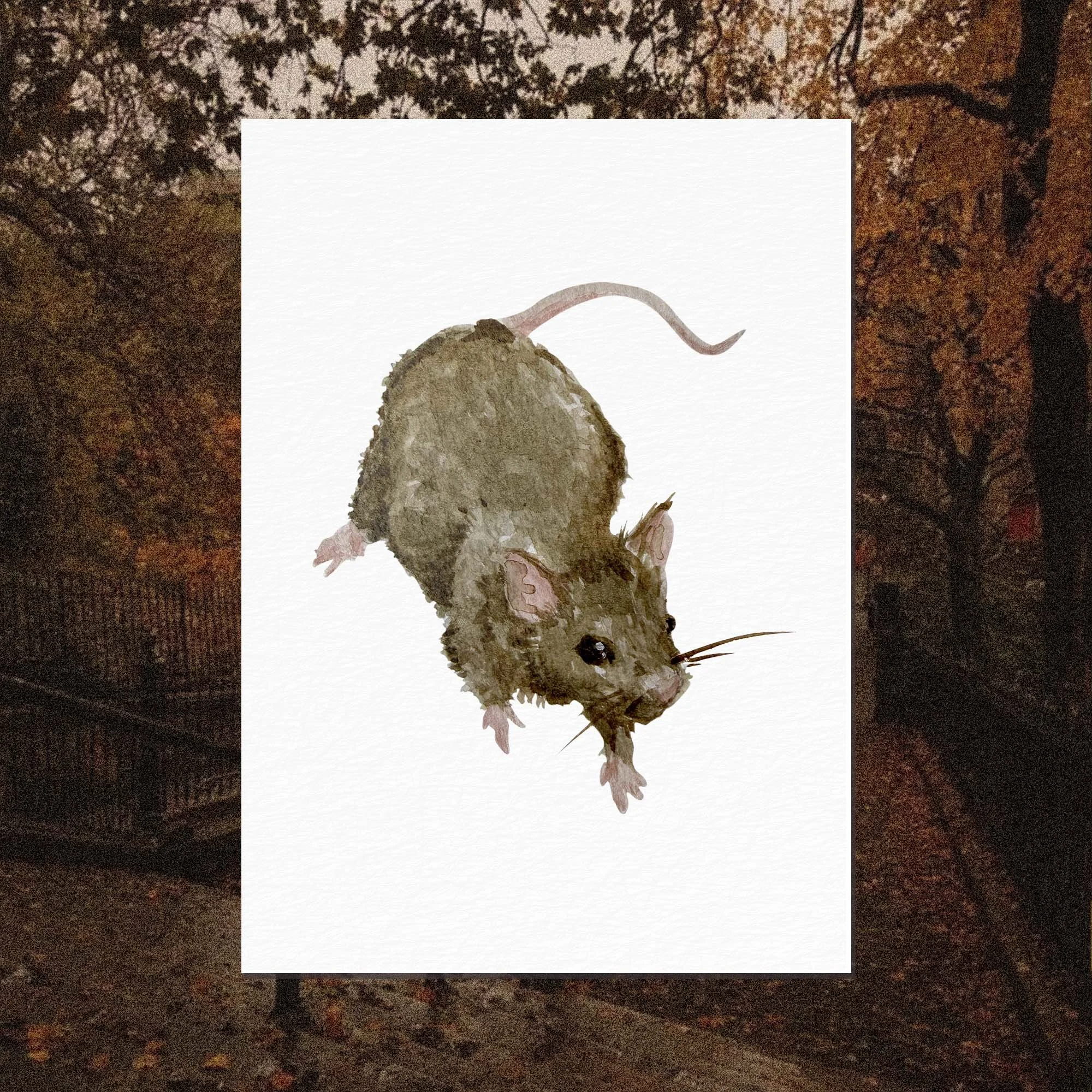 Print Aquarelle A6 • Le Rat