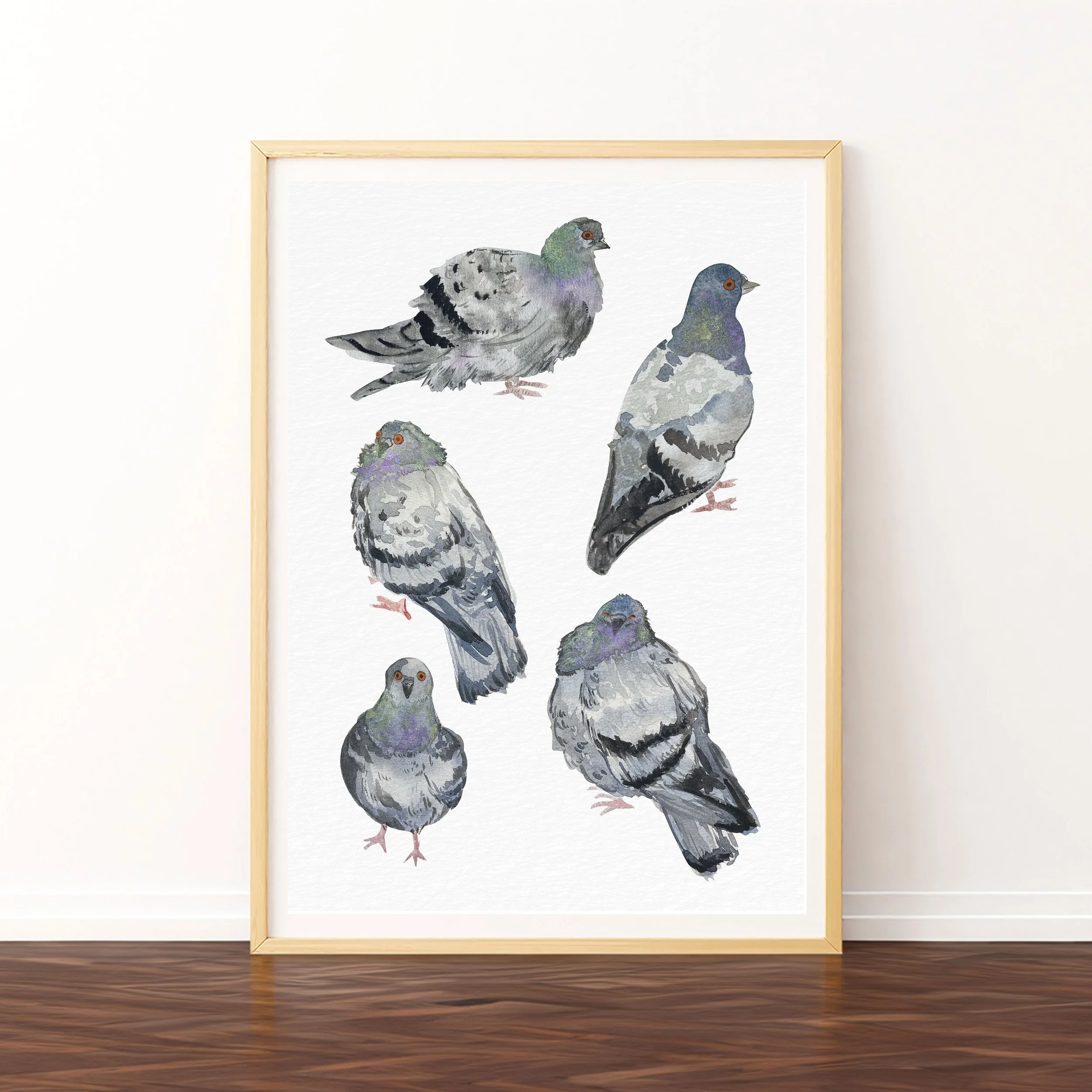 mock up a4 pigeons.jpg