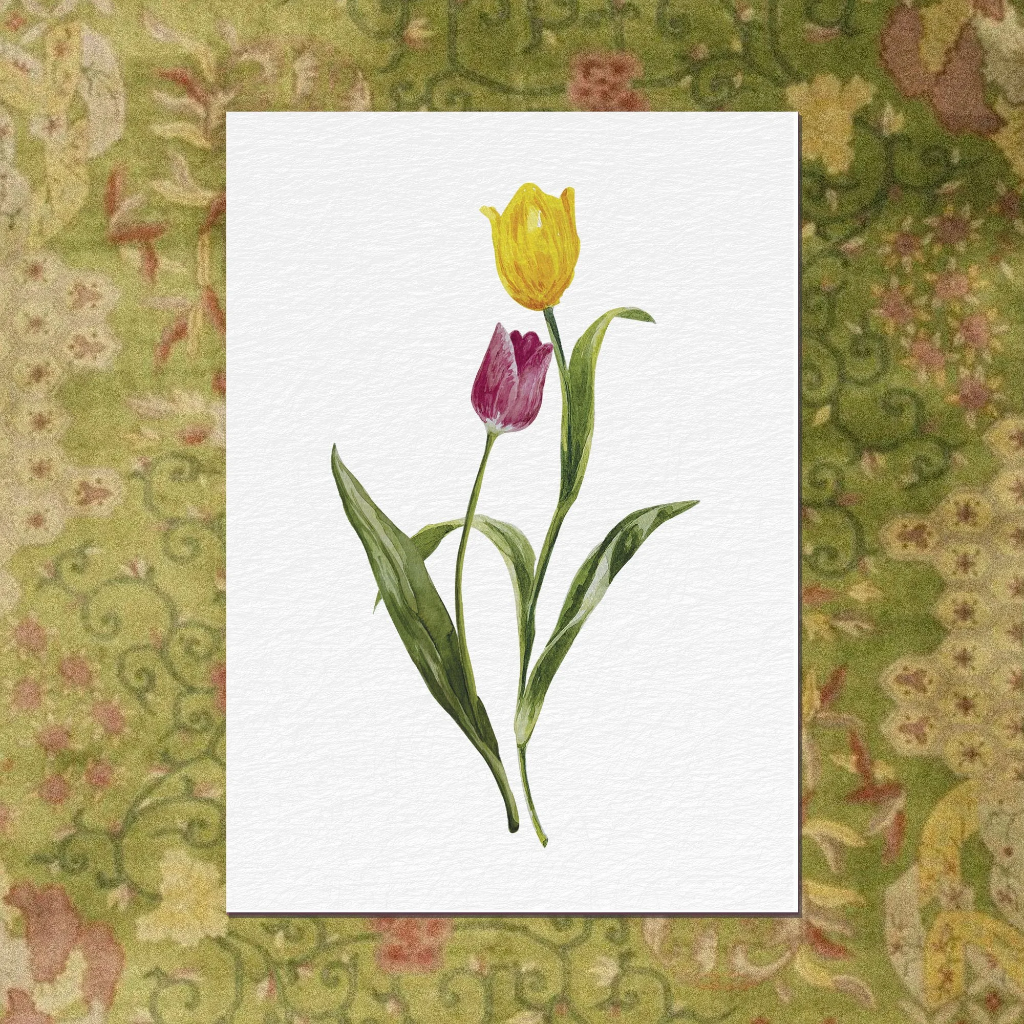 Print Aquarelle A6 • Les Tulipes bicolores