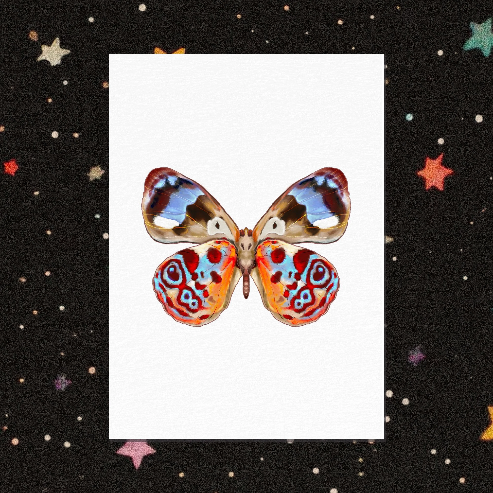 Print Aquarelle A6 • Le Papillon Eunica Amelia (femelle)