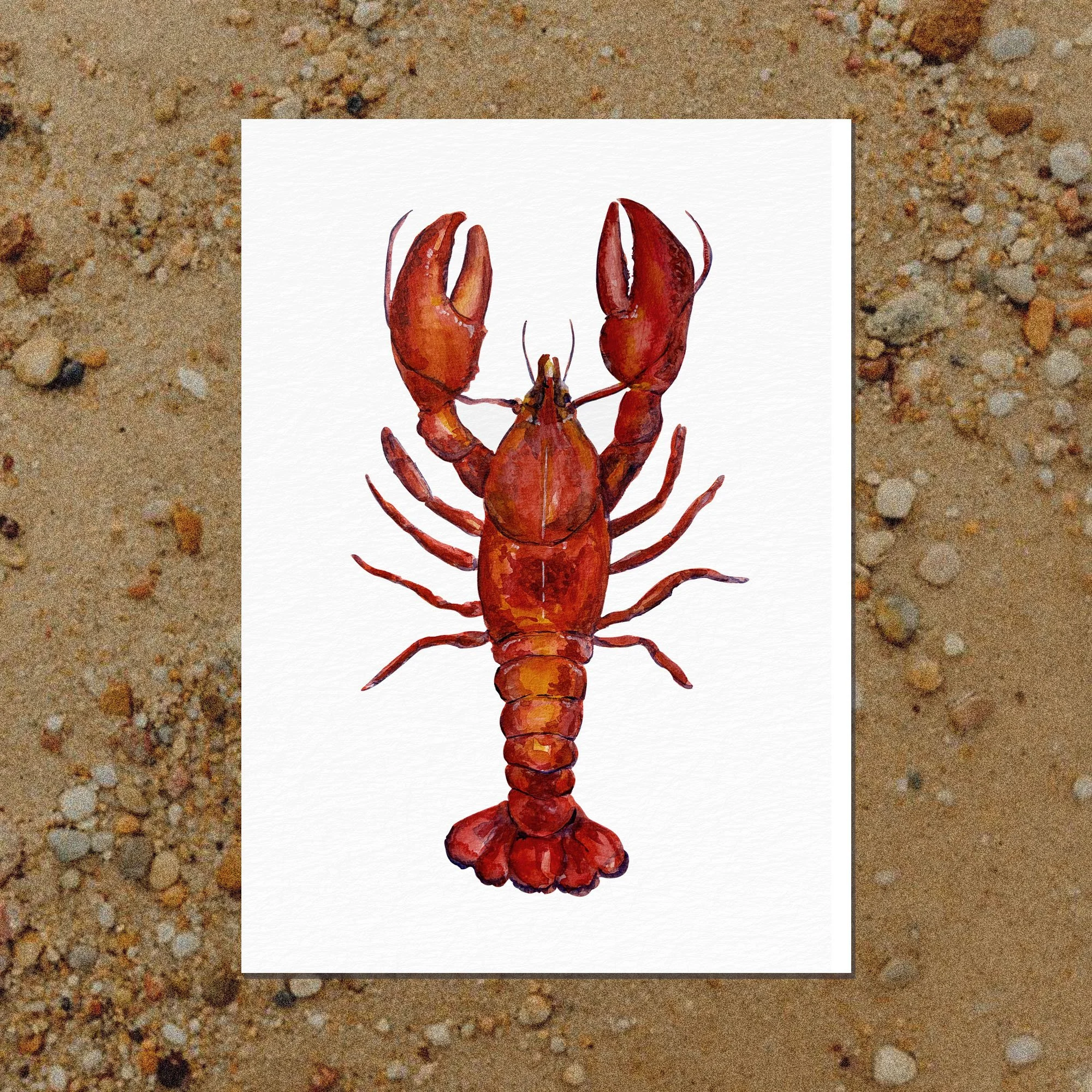 Print Aquarelle A6 • Le Homard