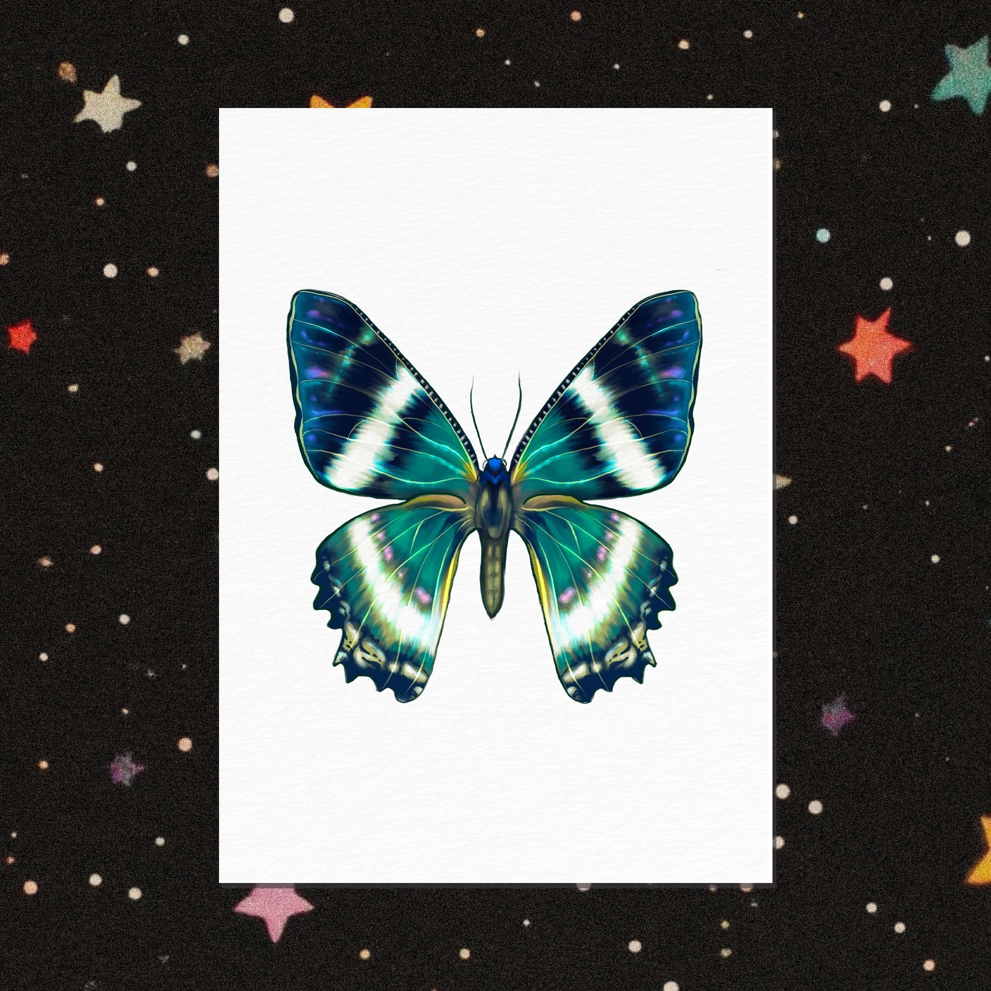 Print Aquarelle A6 • Le Papillon Alcides Agathyrsus