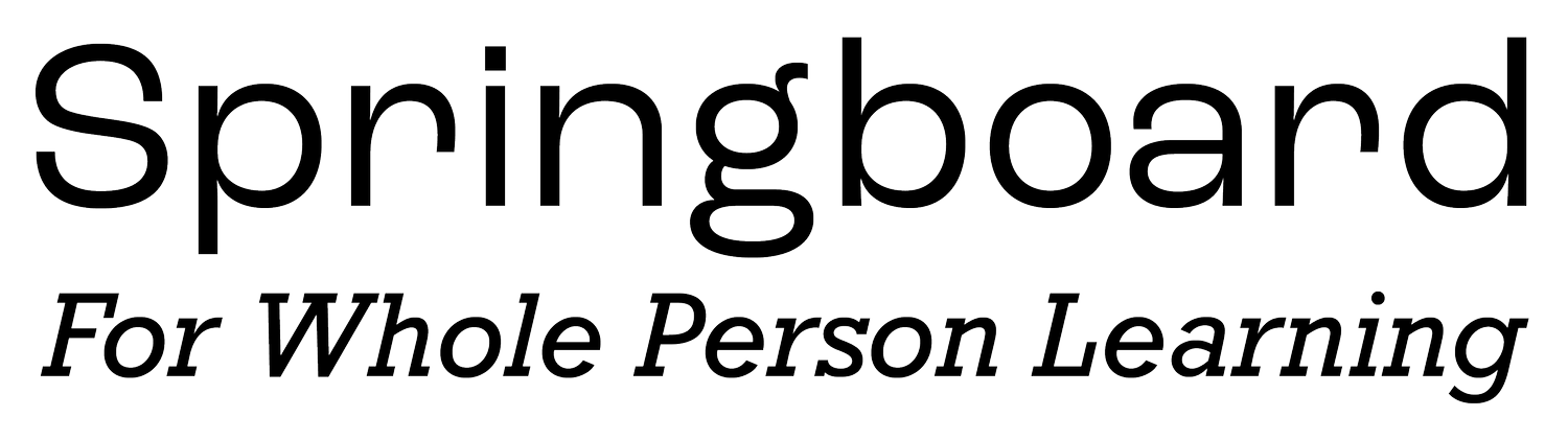 Springboard Foundation for Whole Person Learning (Copy)