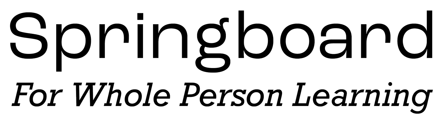 Springboard Foundation for Whole Person Learning (Copy)
