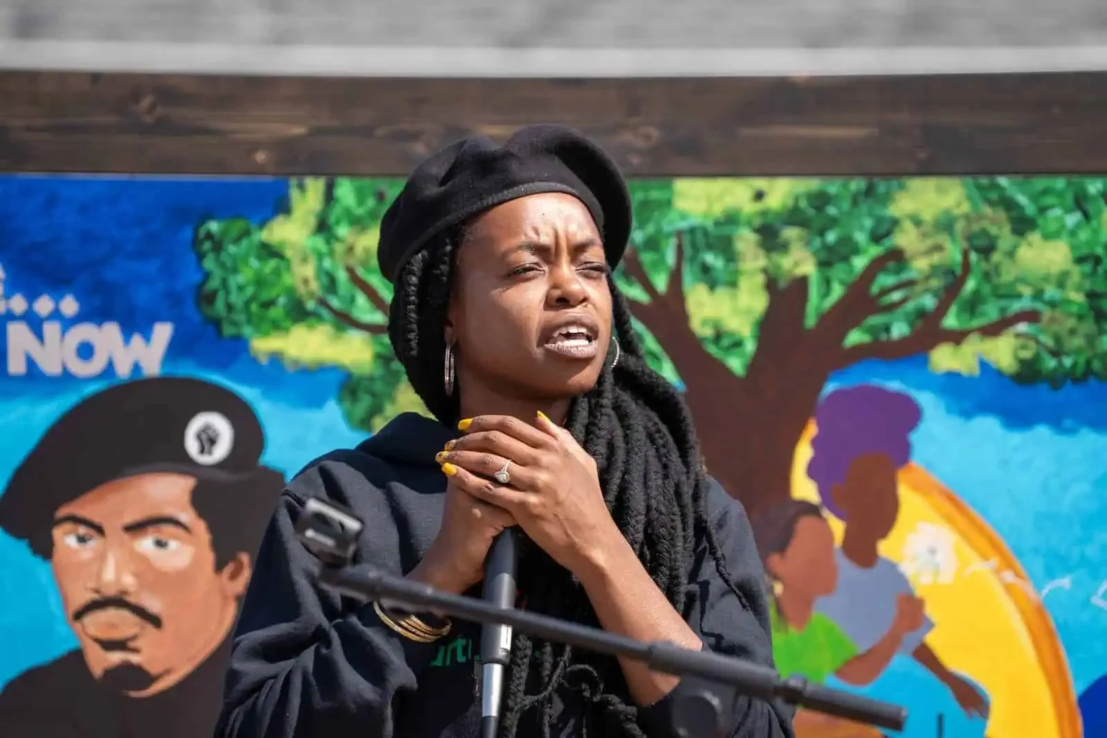 Black Panther Park in Skyway Becomes First Black Panther Park in the World