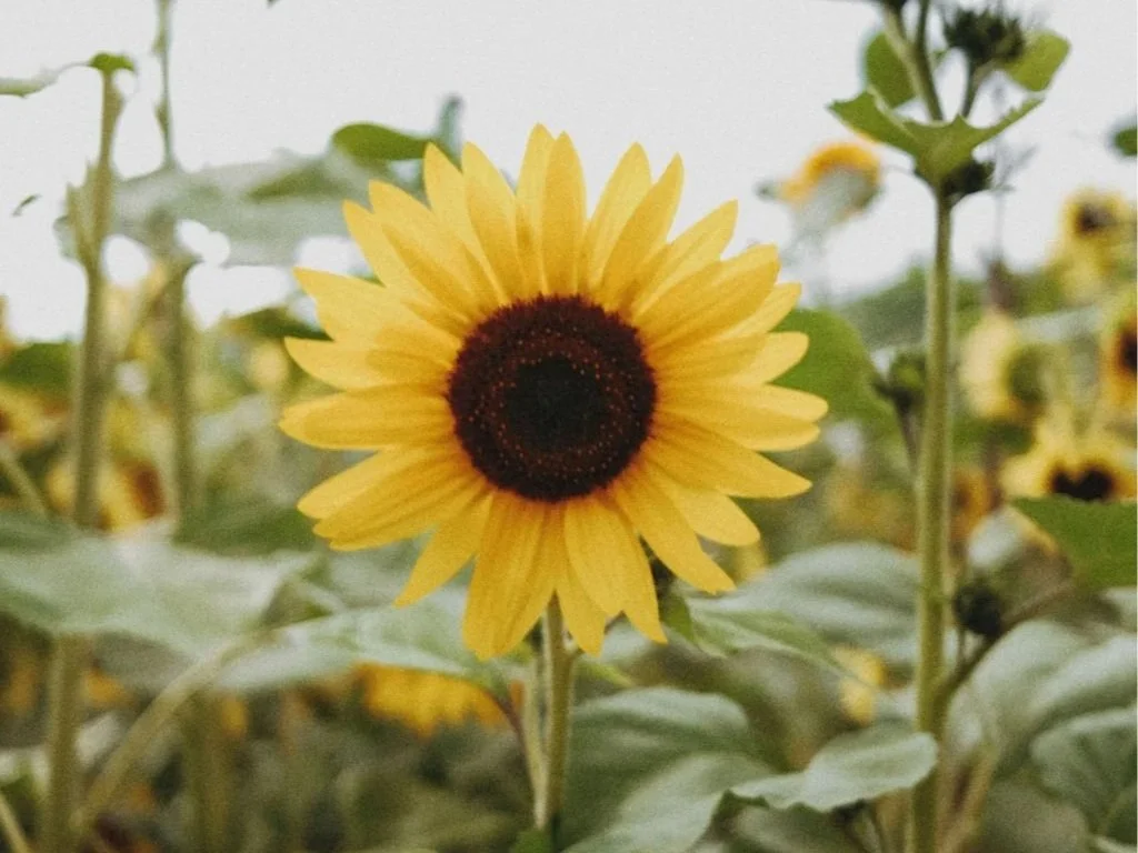 Google Quietly Changed Search Visibility And What It Means For Your Business