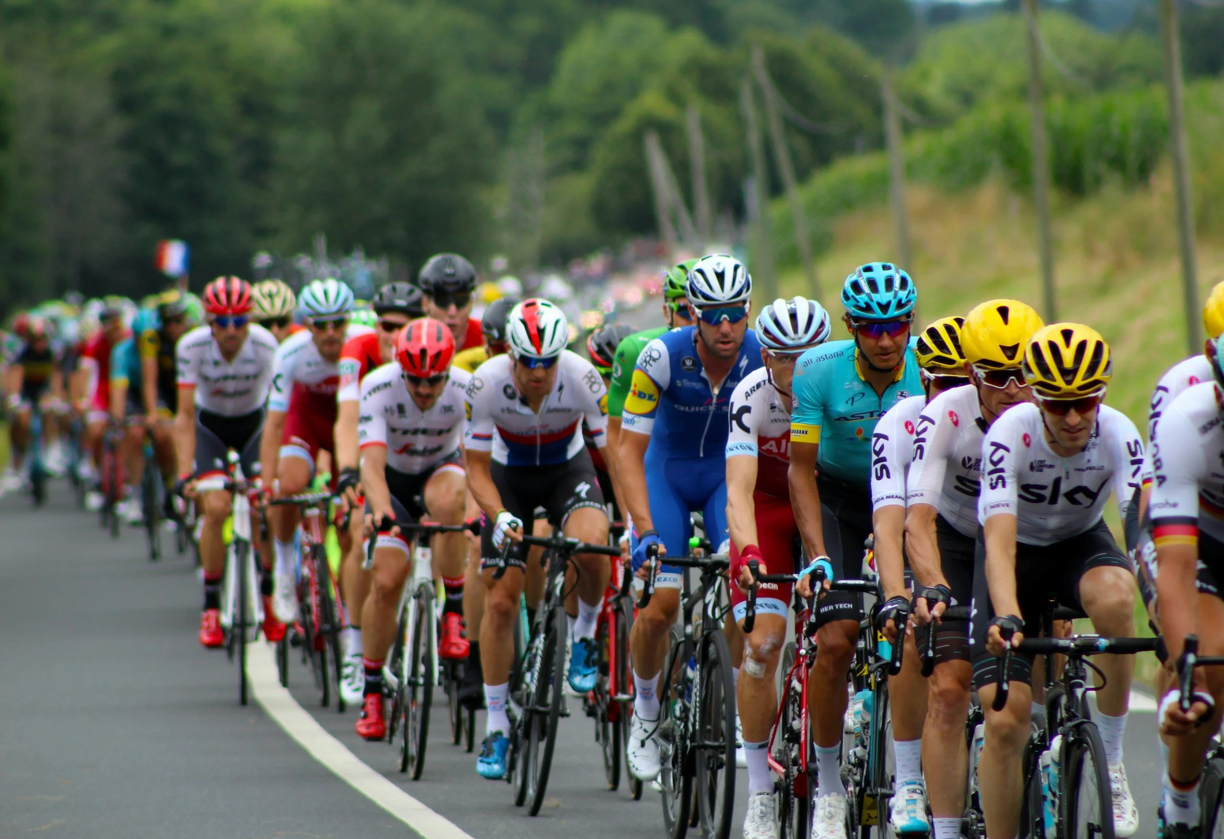 A large group of cyclists participating in a race on a road surrounded by greenery.