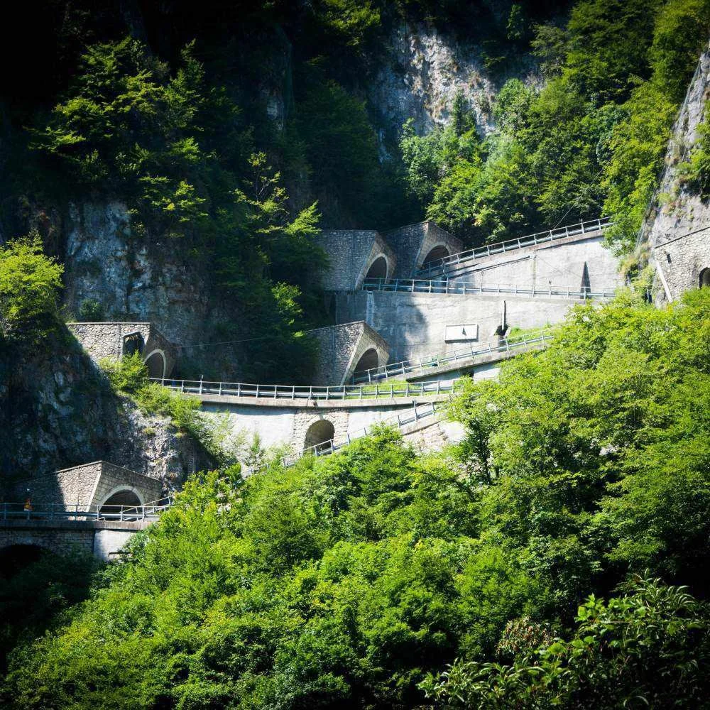 A mountain road with tunnels and rock walls, surrounded by dense green trees and foliage.