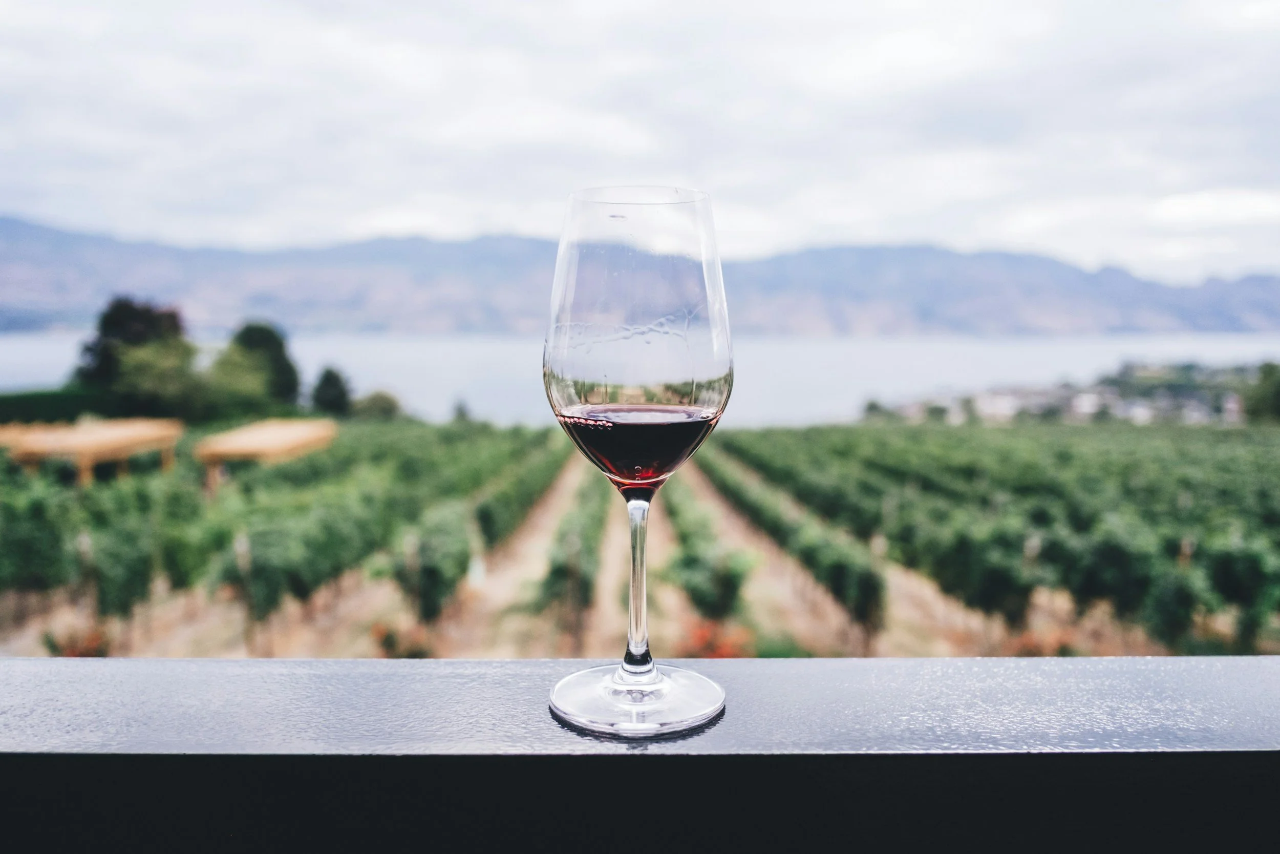Temecula Valley Wine Month