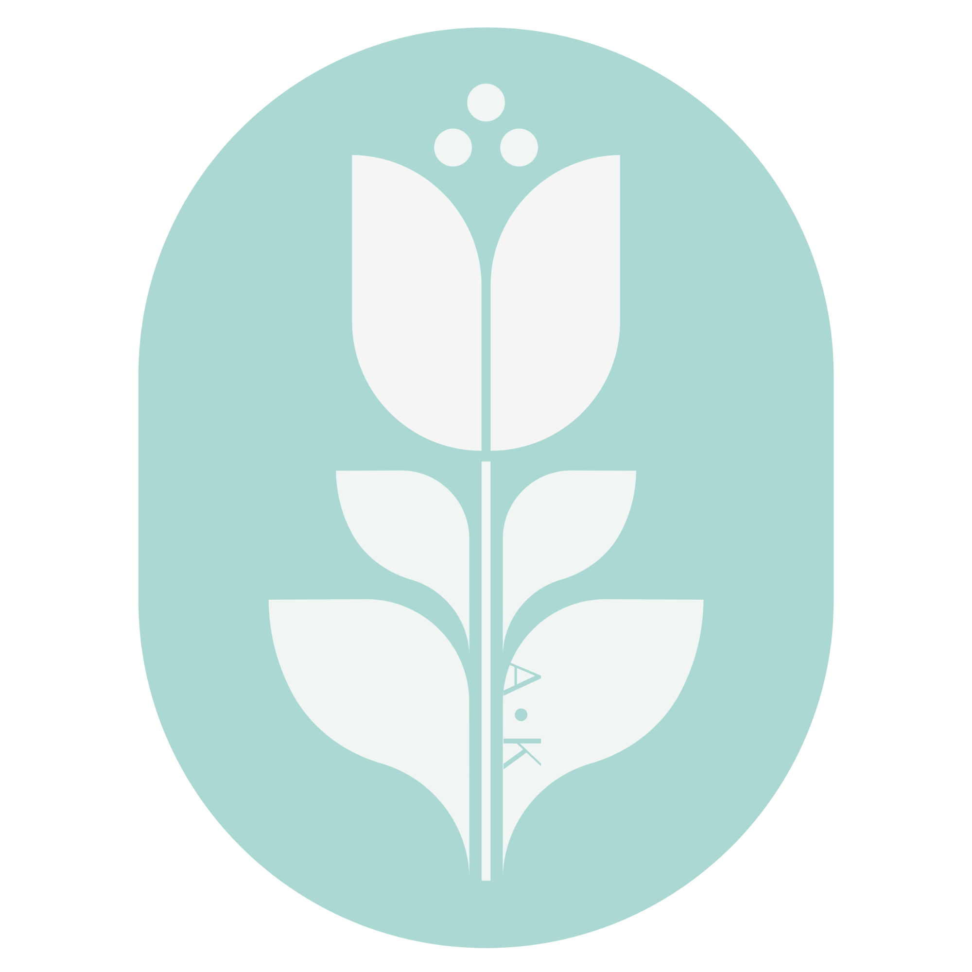 Stylized white tulip flower with three leaves on a light blue oval background.