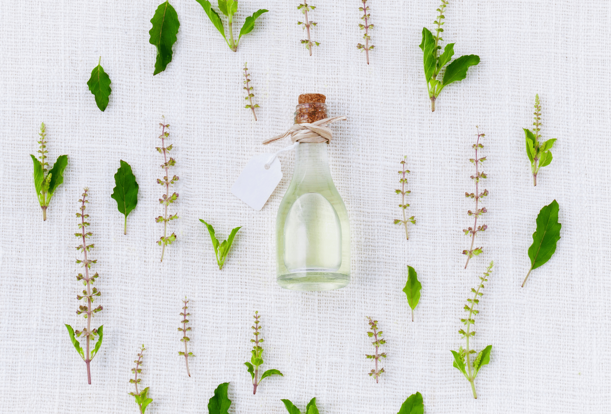 A small glass bottle with a cork stopper, tied with a string and a blank white tag, surrounded by sprigs of green herbs and plants on a textured white background.