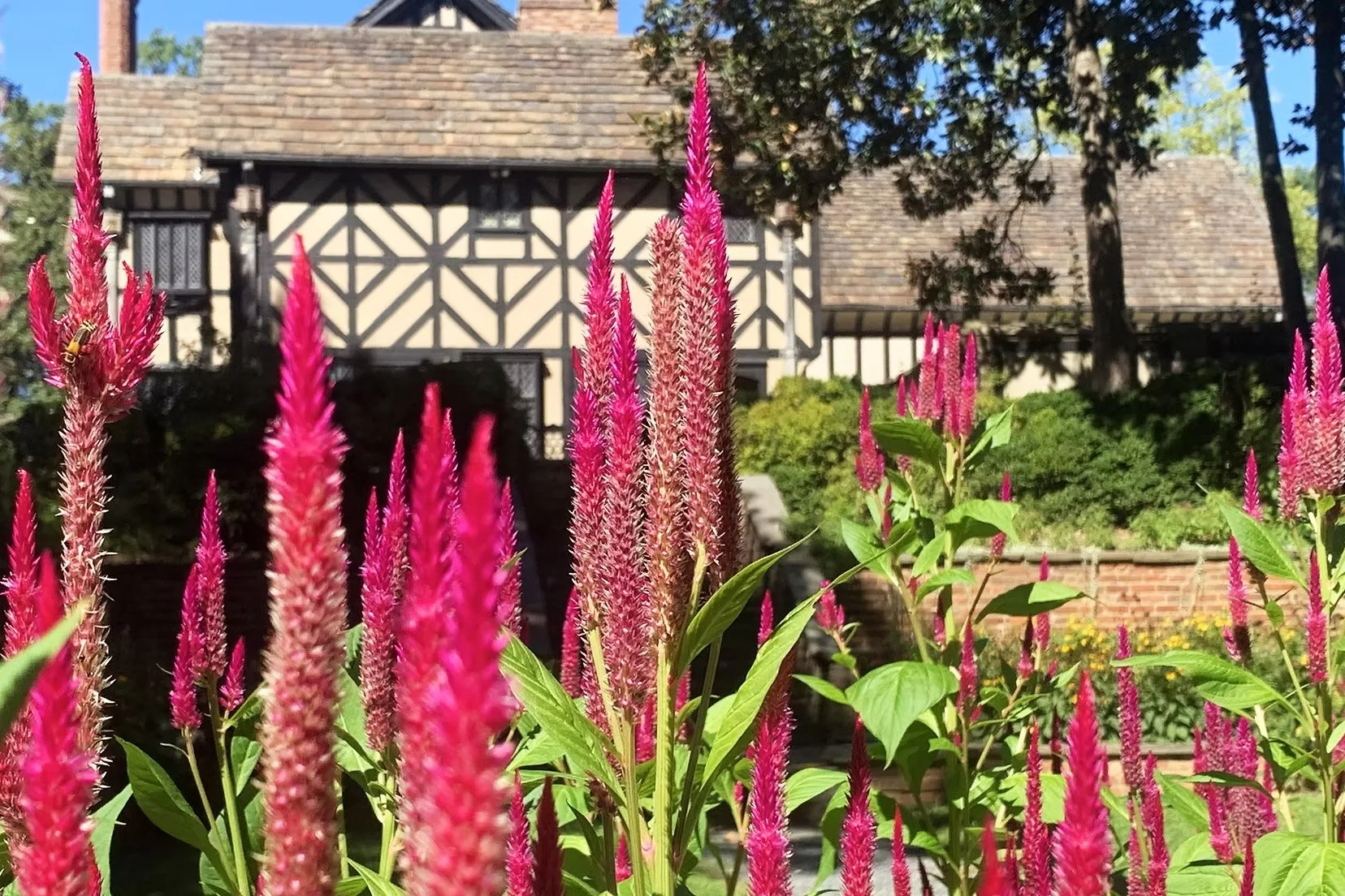 Plein Air Painting in the Gardens in September