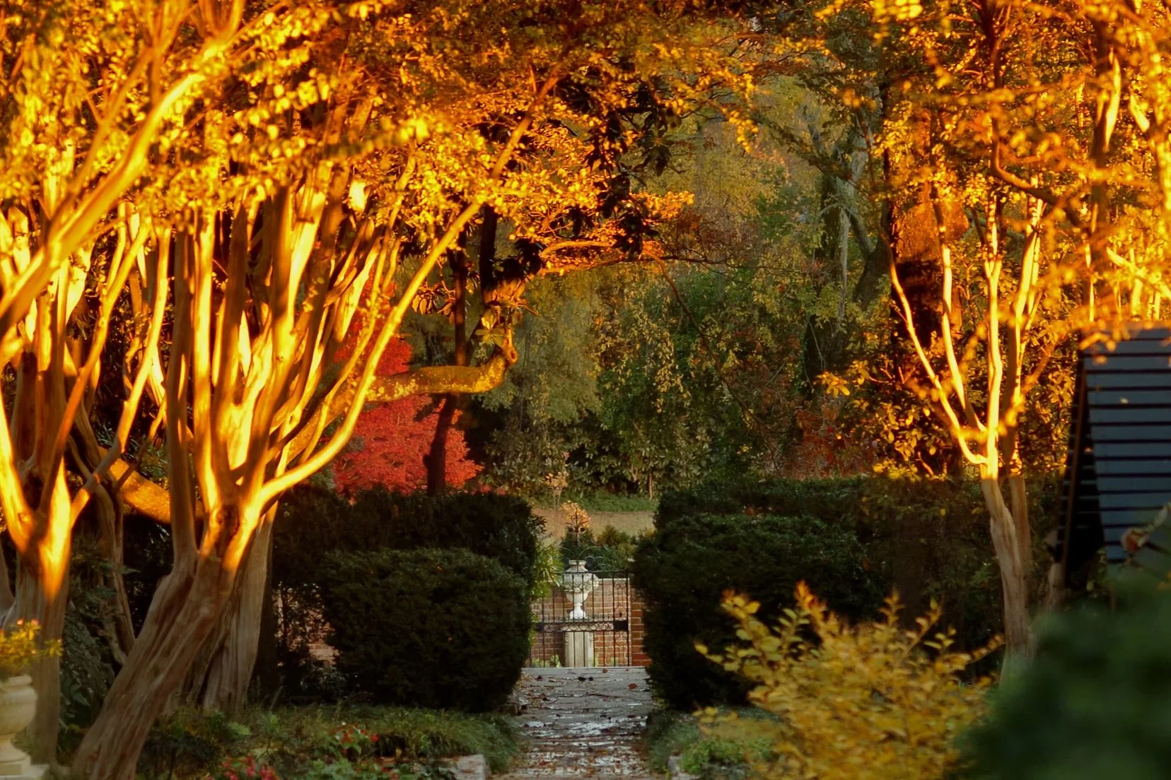 Special Focus Tour: Autumn Garden Walk (10am)