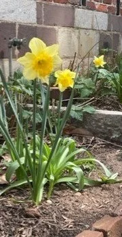 thumbnail_IMG_1954.jpg