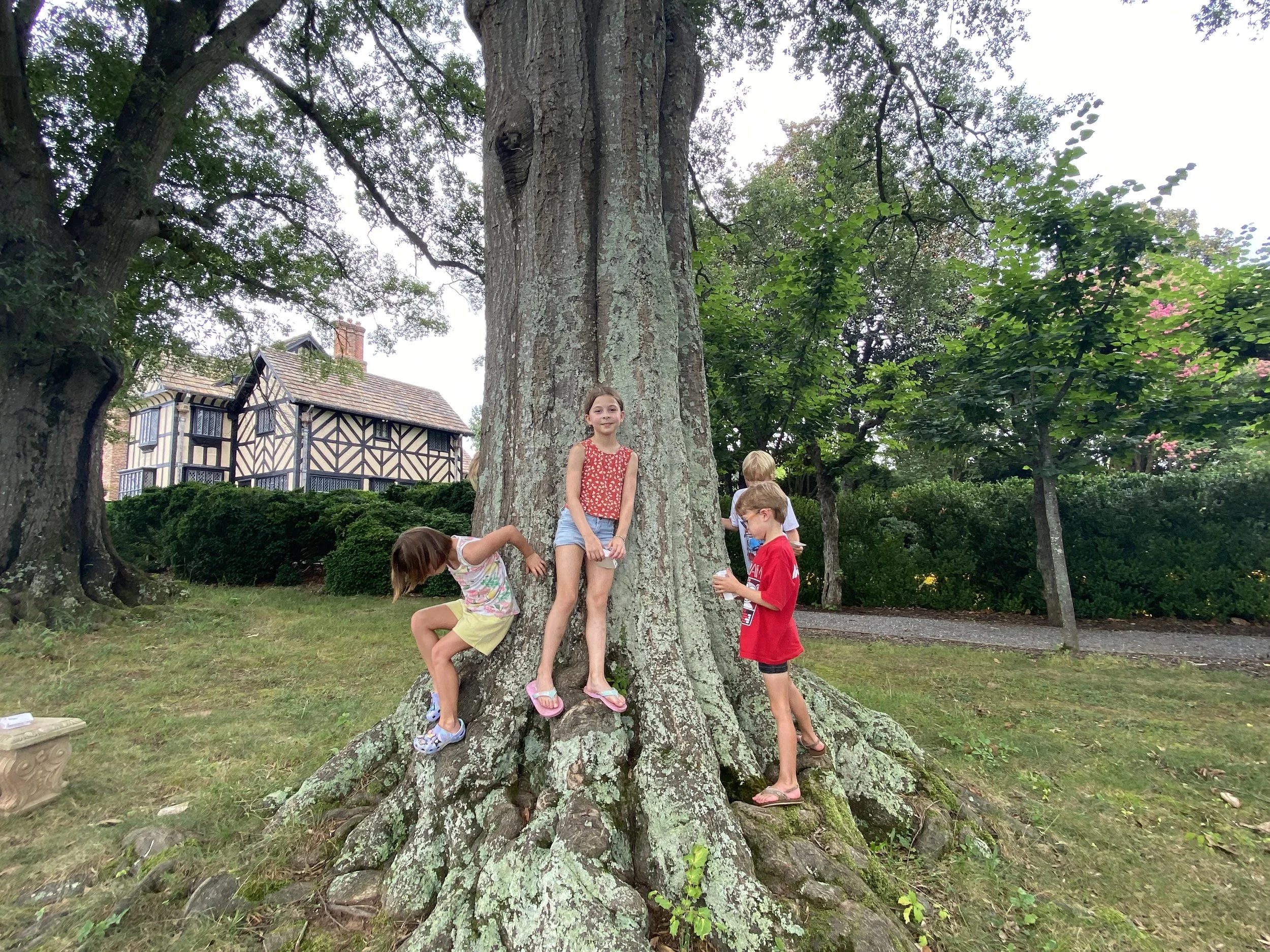 Adventures at Agecroft: Kids’ Summer Camp for Ages 7-11
