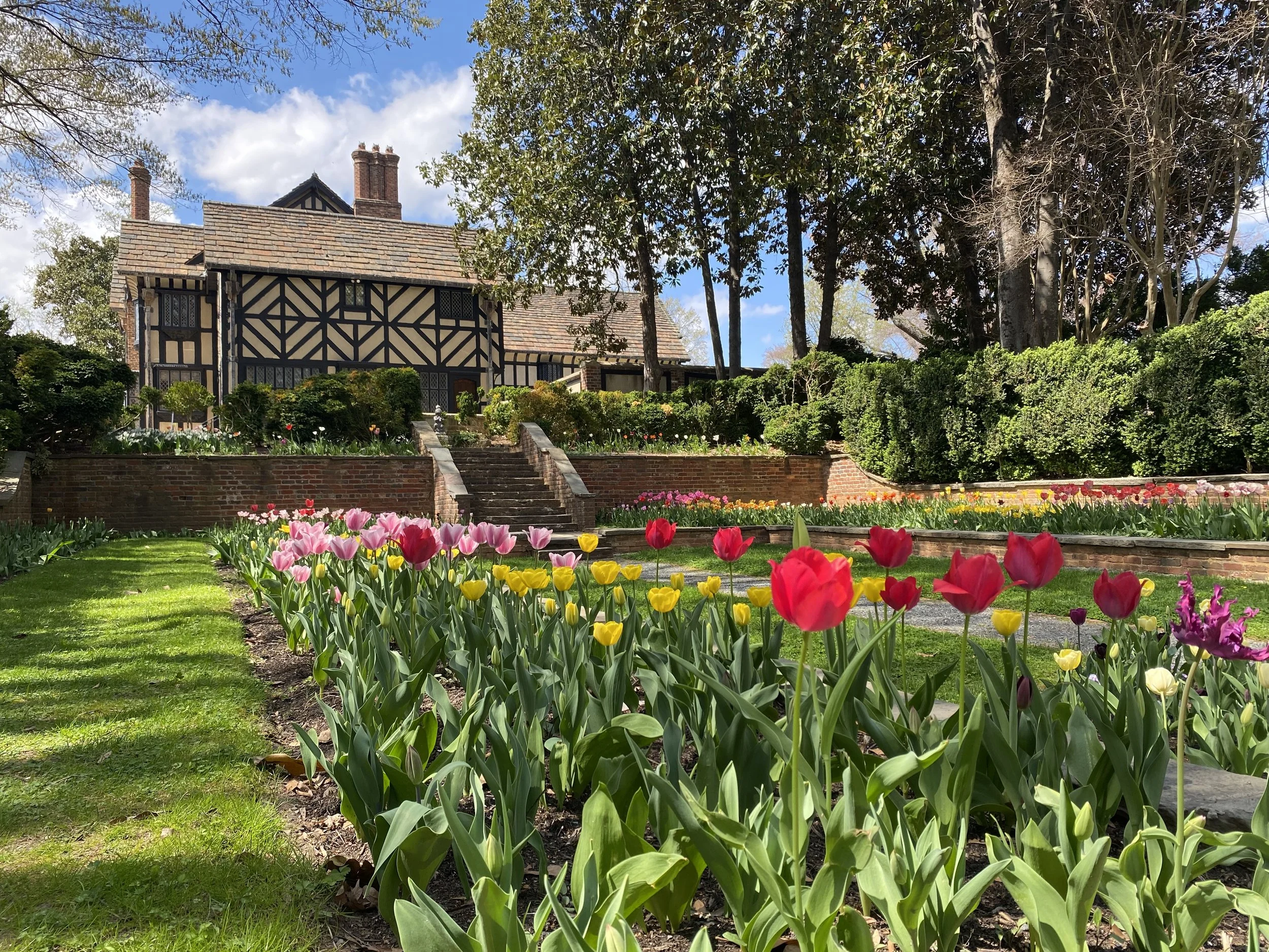 Bubbles &amp; Blooms