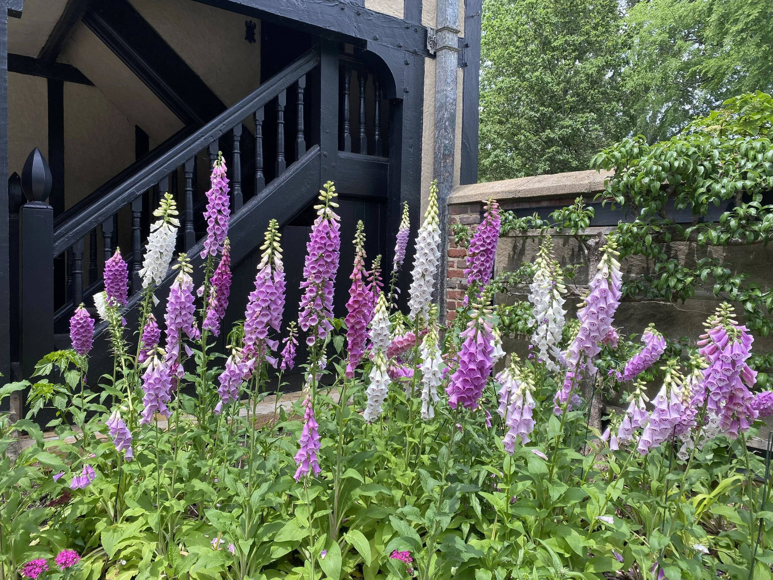 Special Focus Tour: Garden Walk History Tour (5pm)