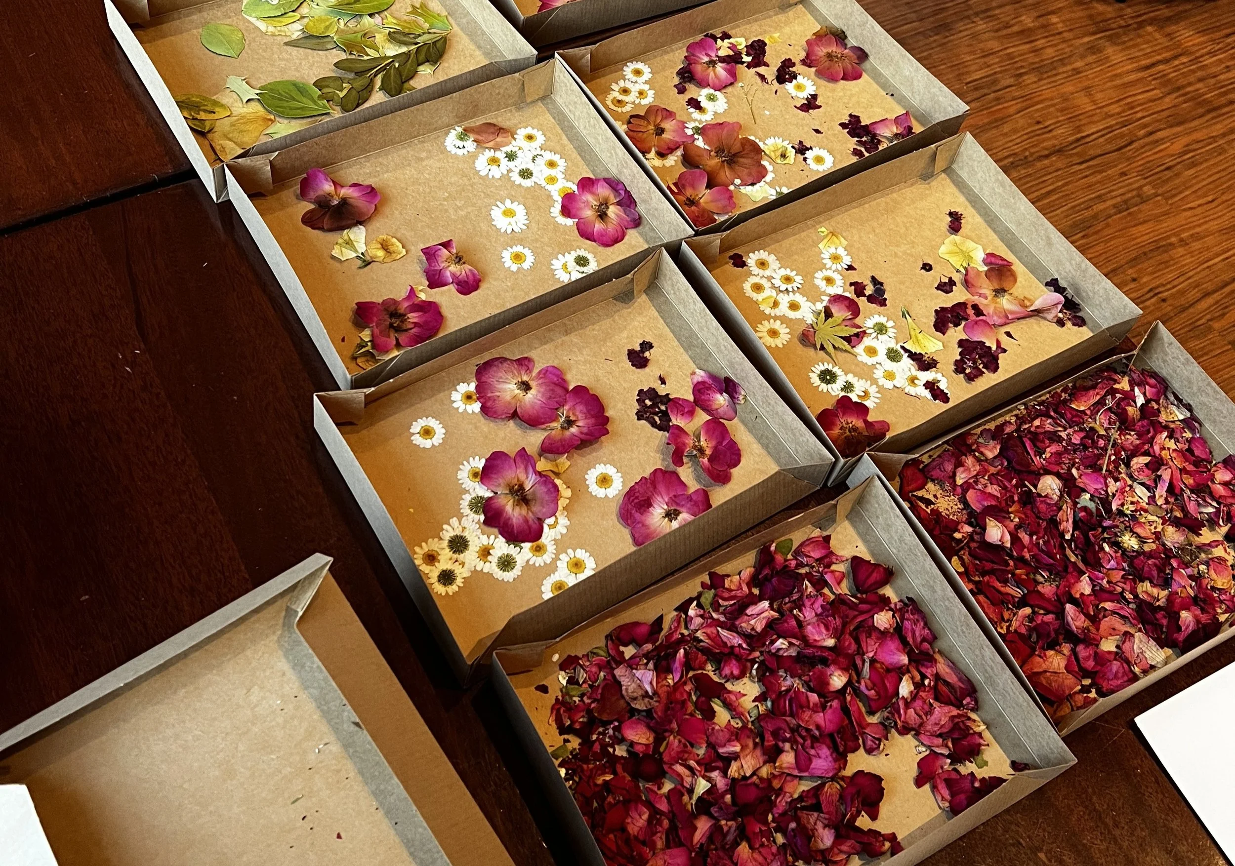 The Art &amp; History of Pressed Flowers